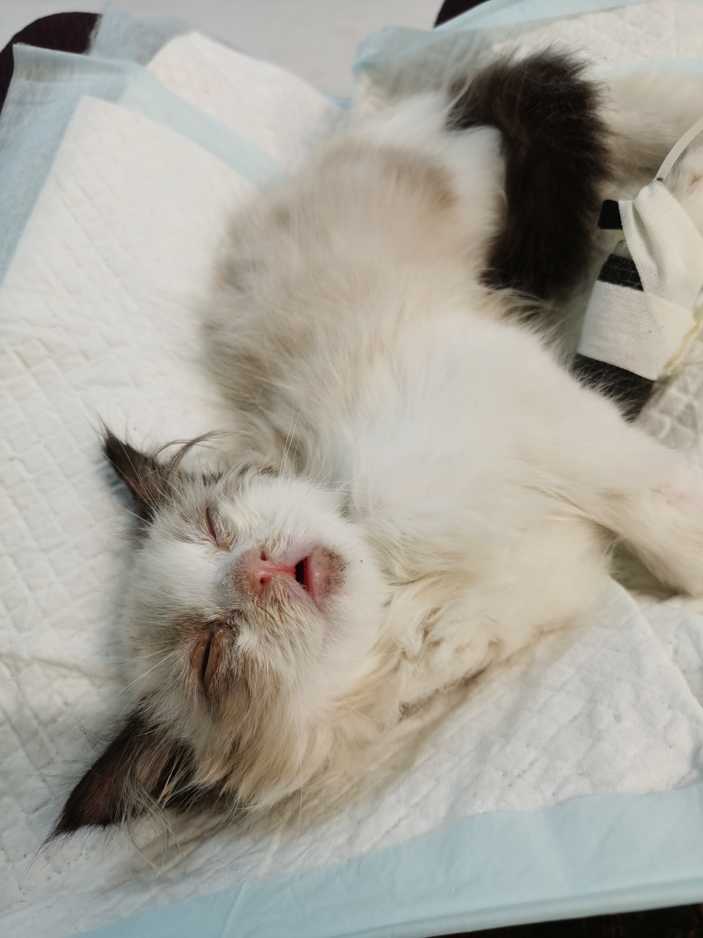 今天不知道是幸运还是不幸?