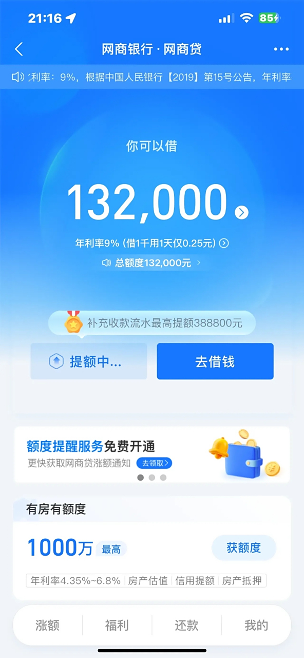 今年支付宝真是大发慈悲,一下子给了我30万的借款额度,但是我现在收入