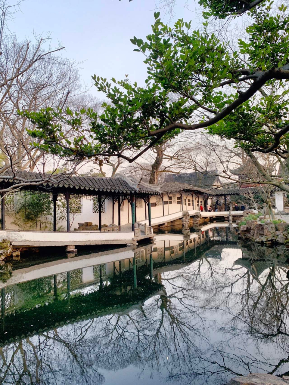 中国园林之母(中国园林之母是谁)