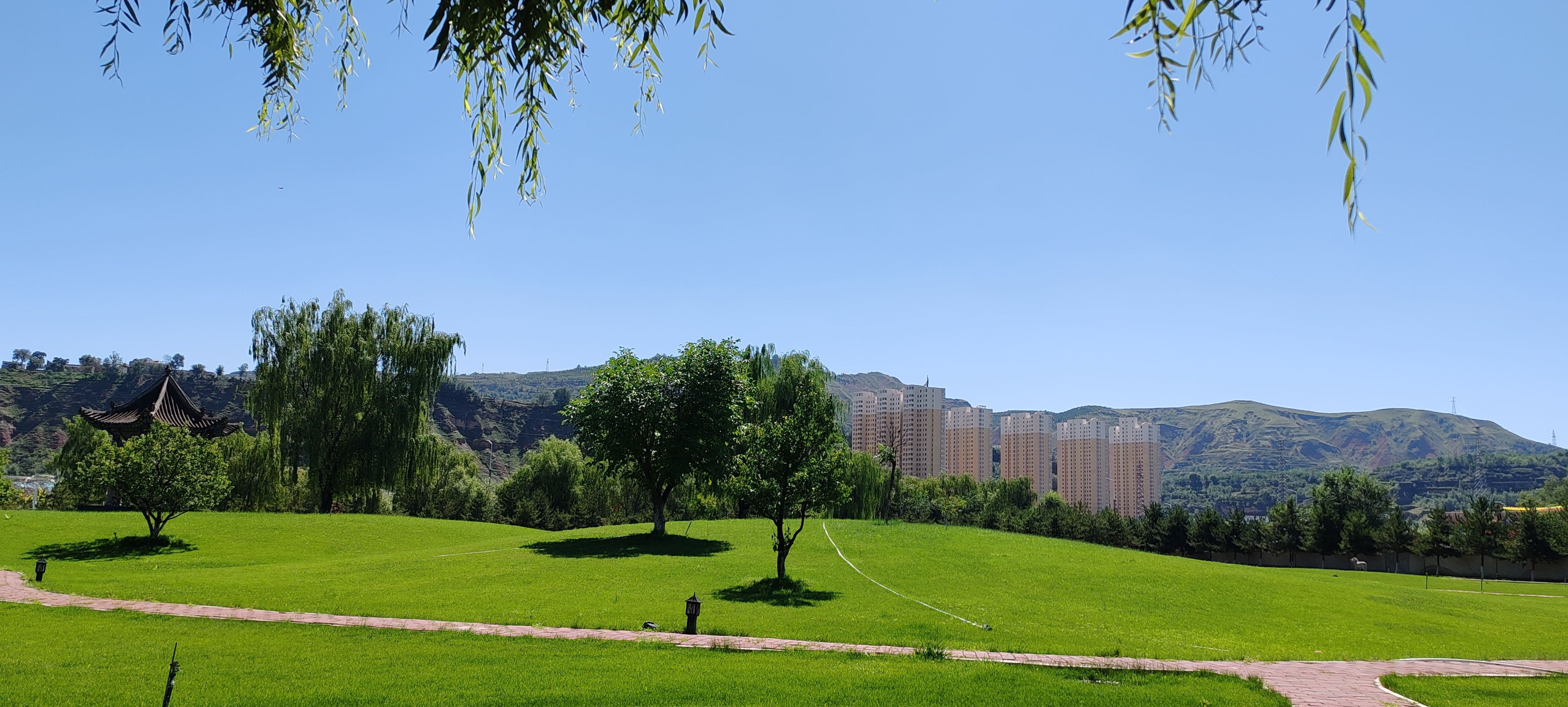 在这炎炎夏日,我仿若感受到