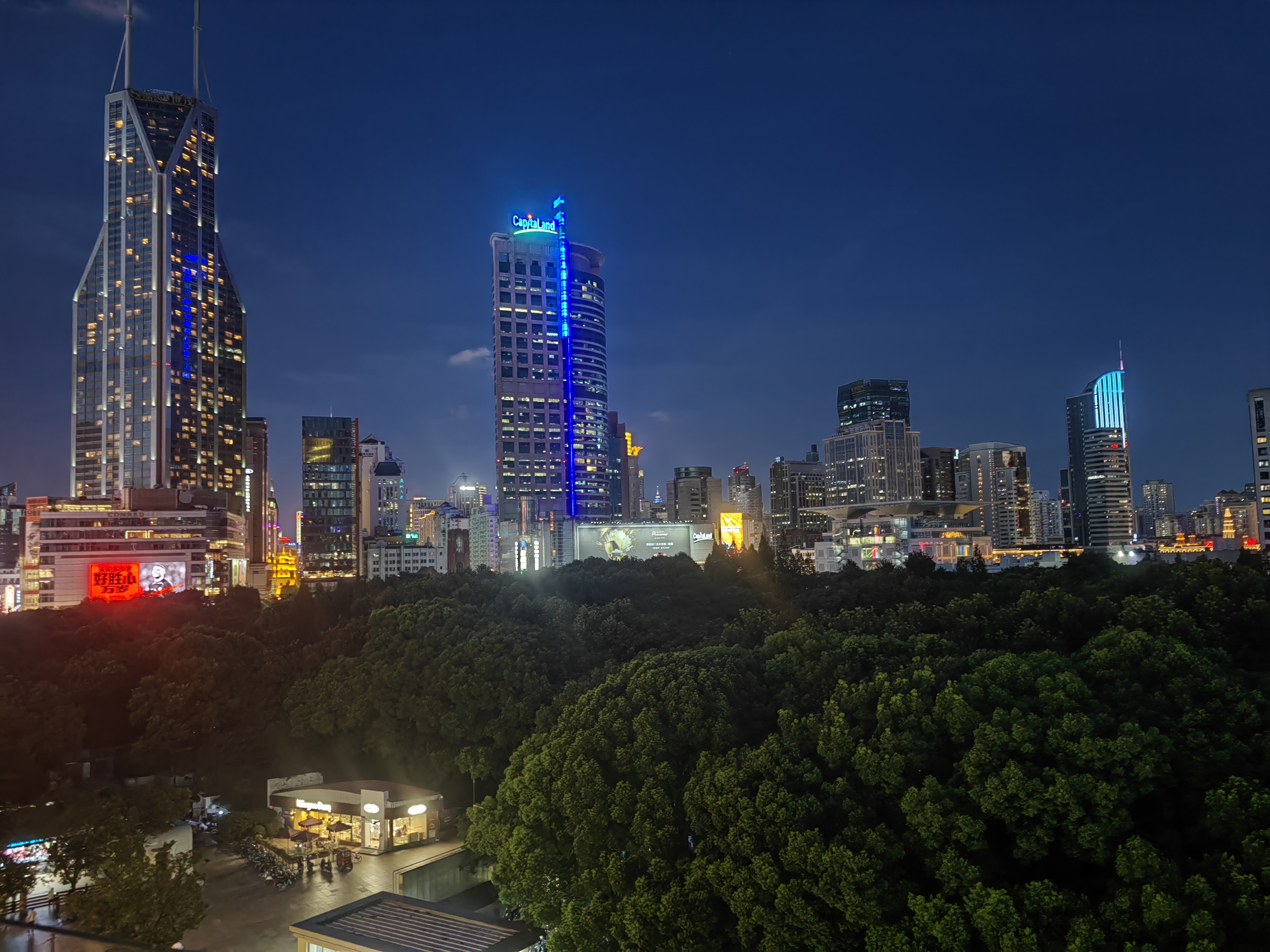 夜幕降临,华灯初上,我在树梢间俯瞰都市的璀璨灯火,心情如这夜景般
