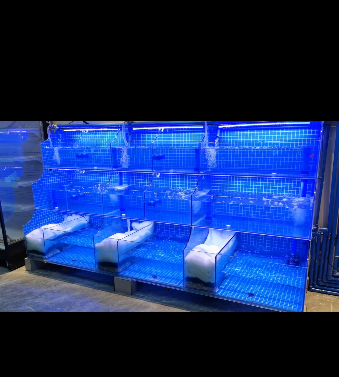 重庆聚源水族有限公司 专业定制海鲜池鱼缸