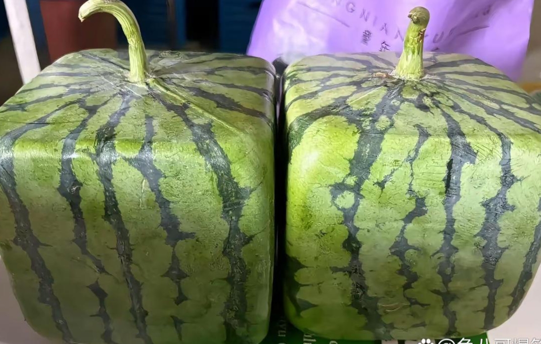 今天买了个方西瓜,家人们,你们吃过吗?