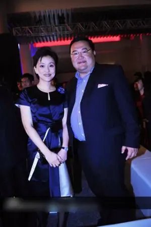 杨澜老公吴征前妻照片图片