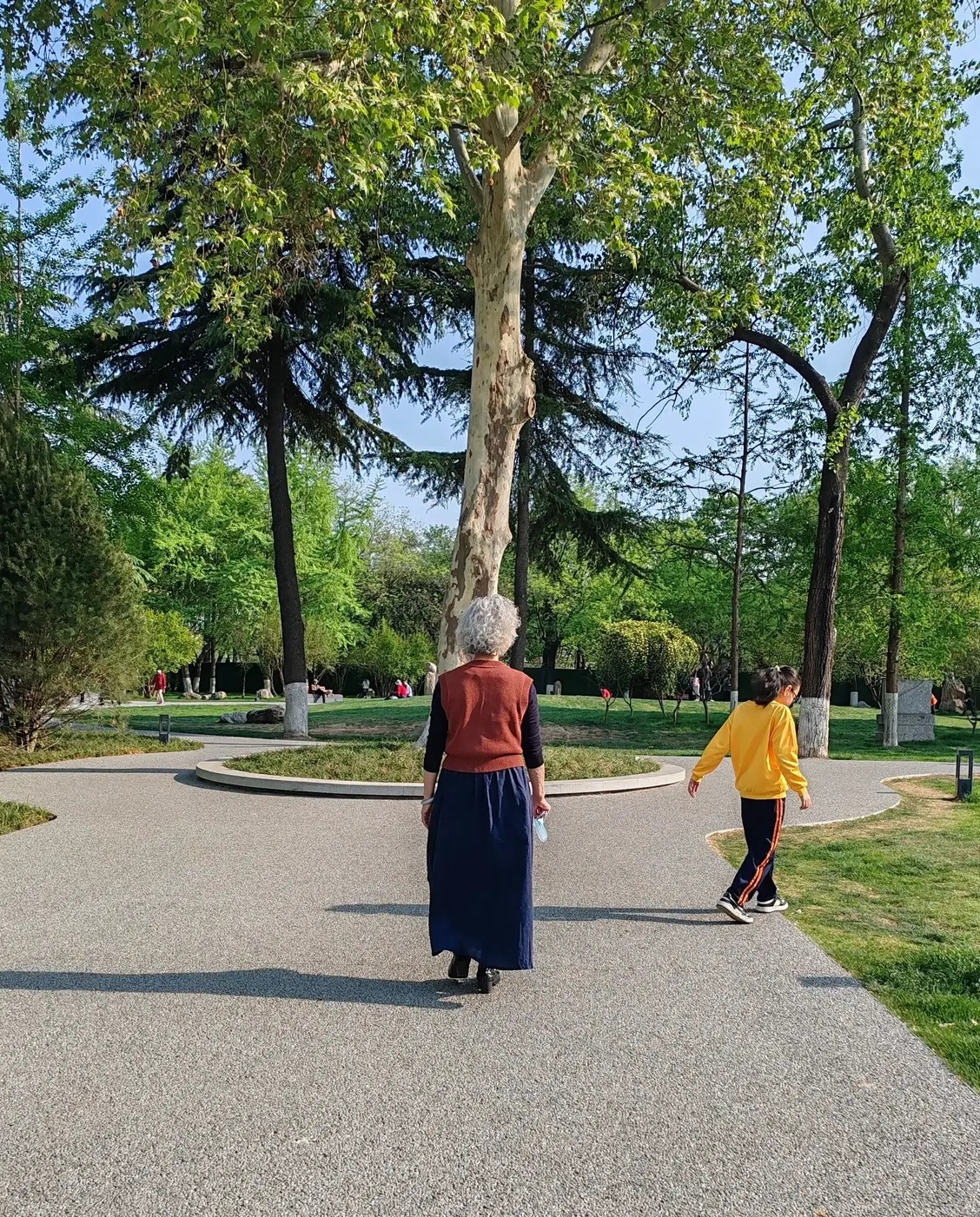 昨天星期天,下午散步时在公园偶遇一位82岁的老奶奶,看到她的第一眼