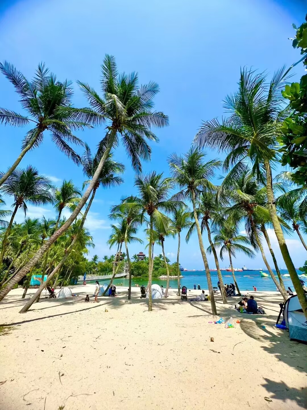 阳光沙滩,椰子树,日落余辉,美到让你惊讶 