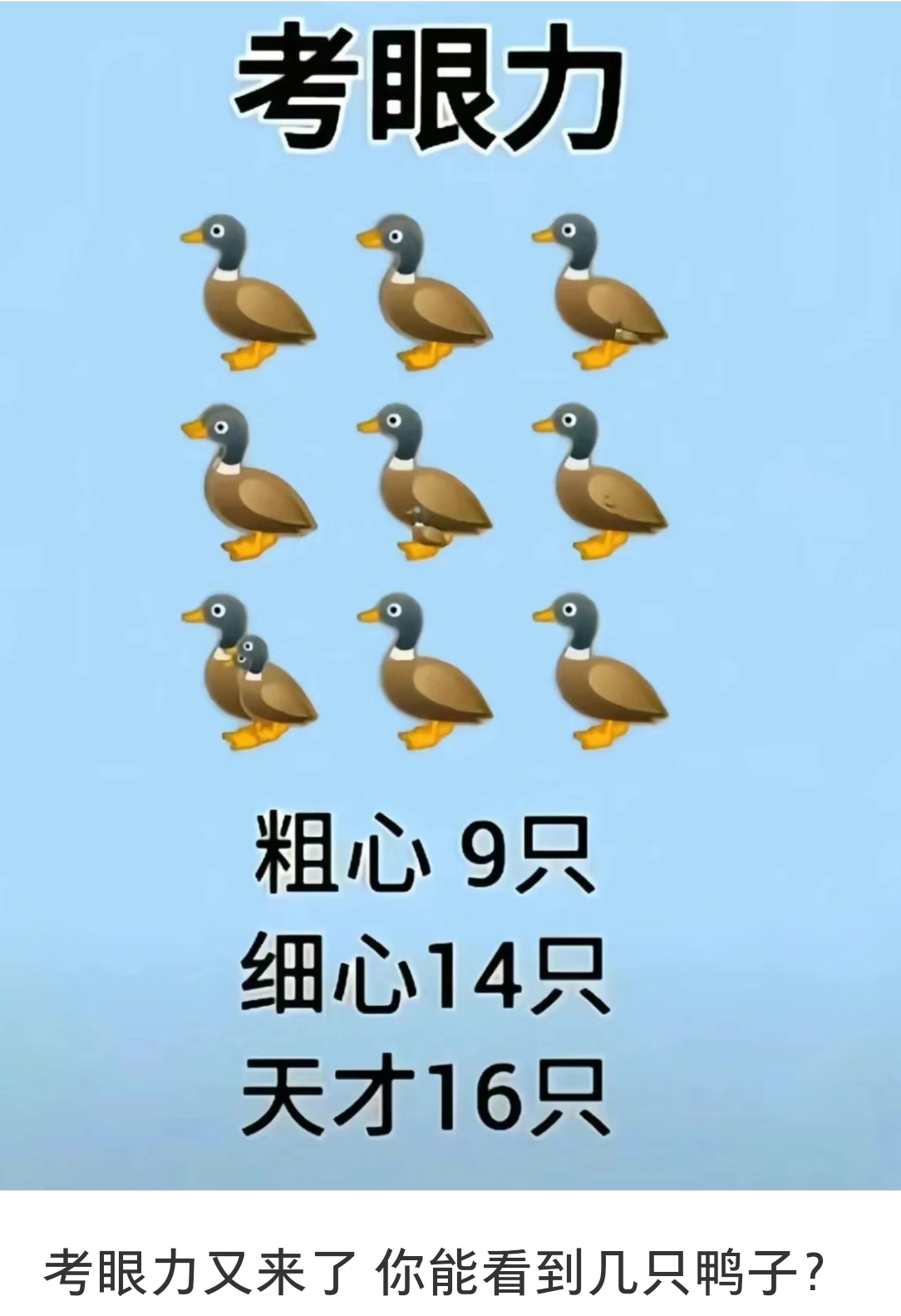 眼力大挑战!图中藏着9只鸭子,你能全部找出来吗?