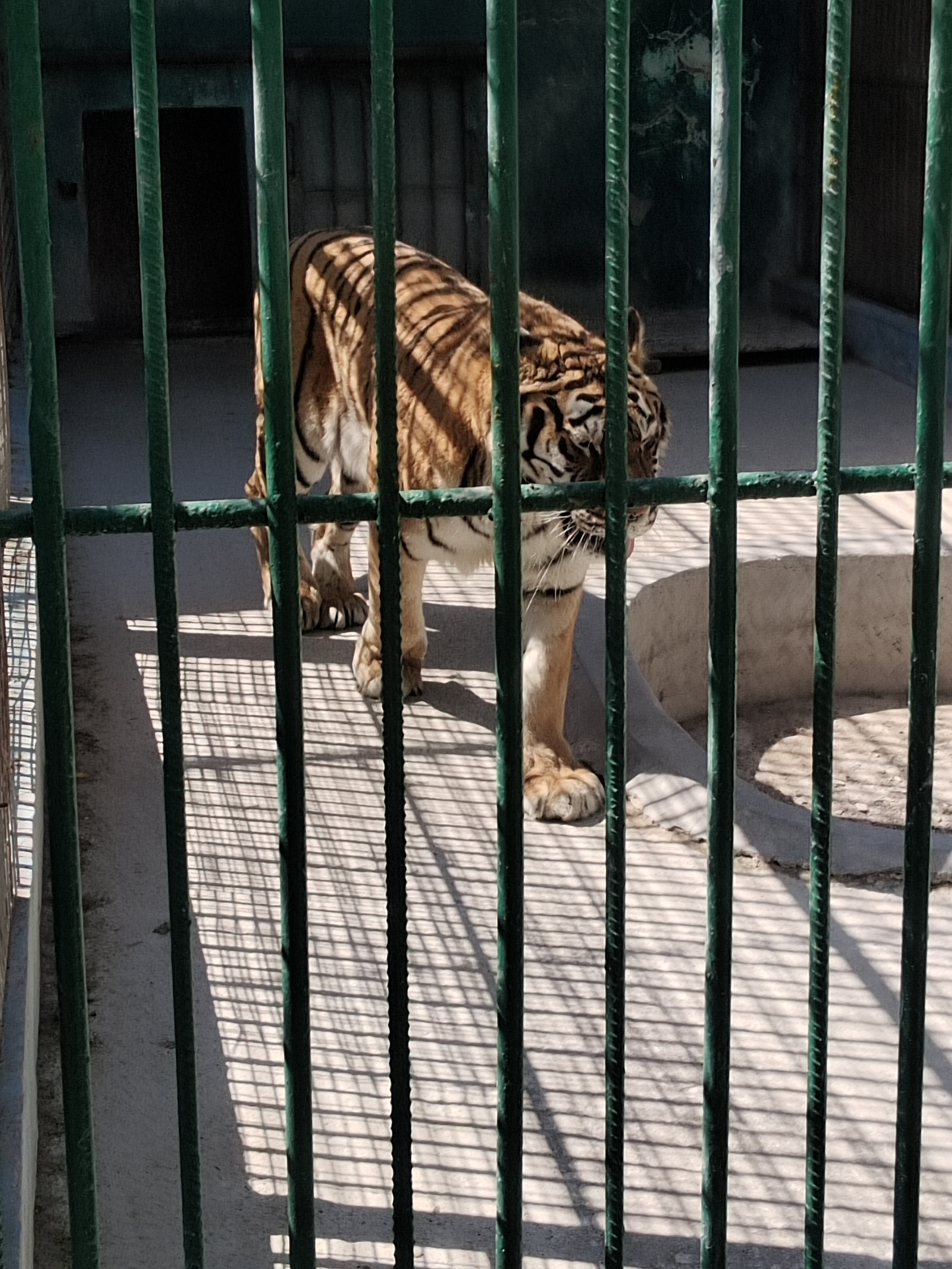 莱州马家庄动物园
