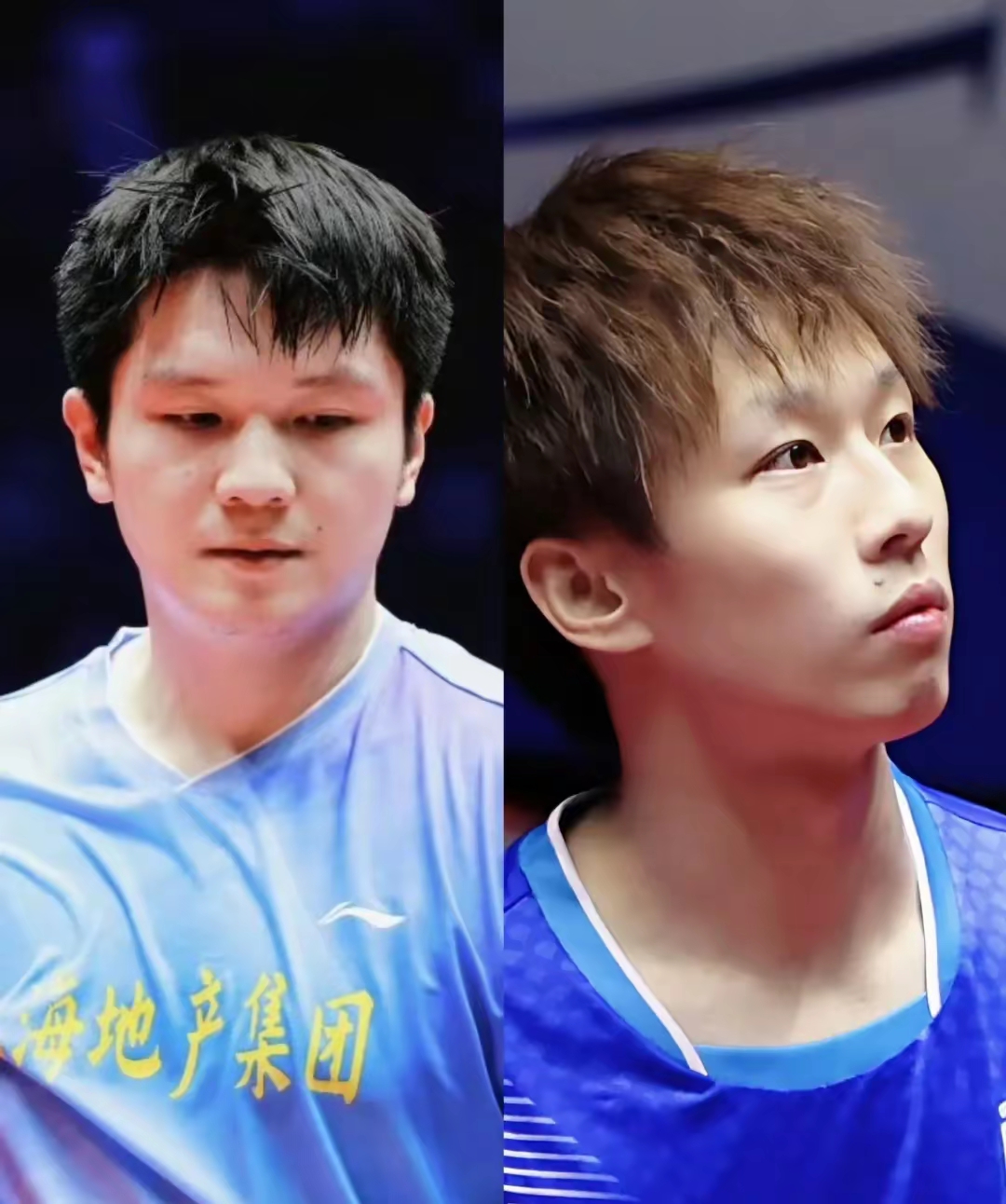 樊振东迎 战林高远 乒乓球世相关图片3