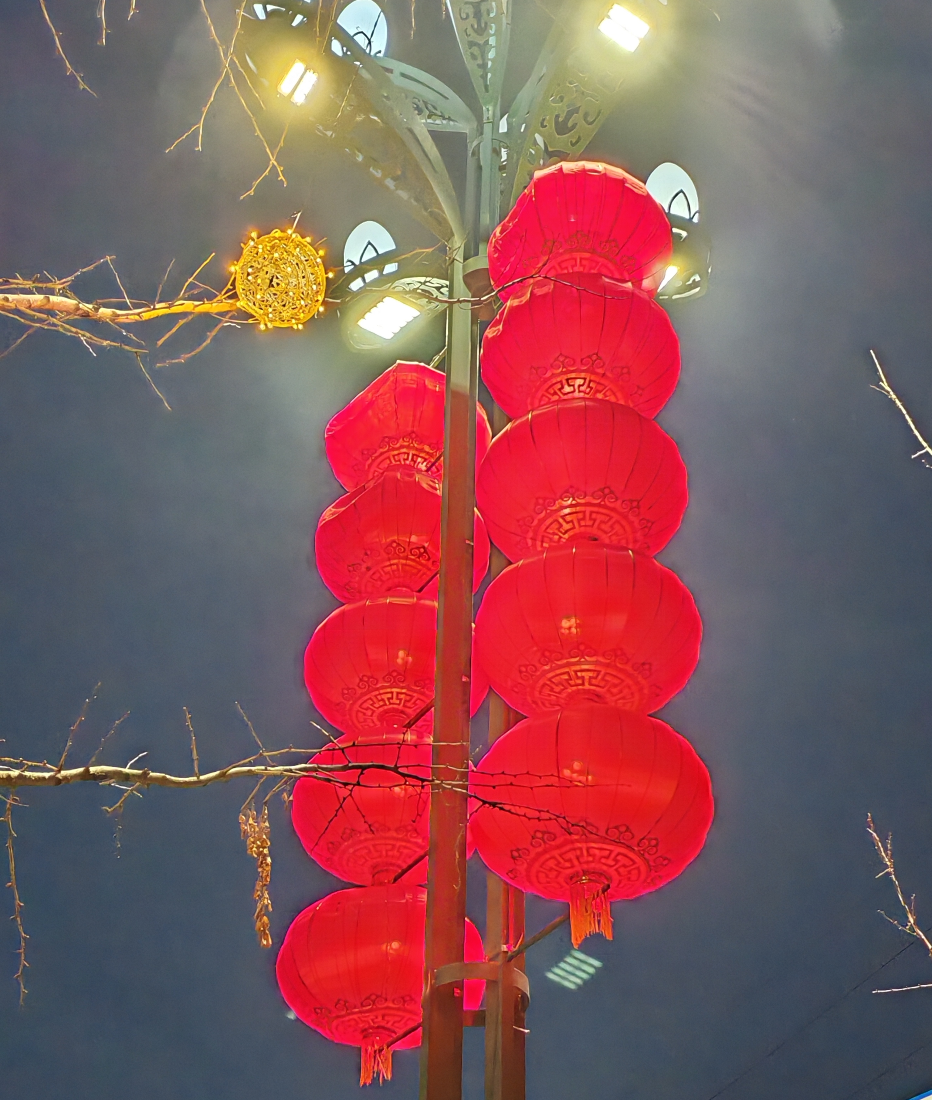 华灯初上合照图片