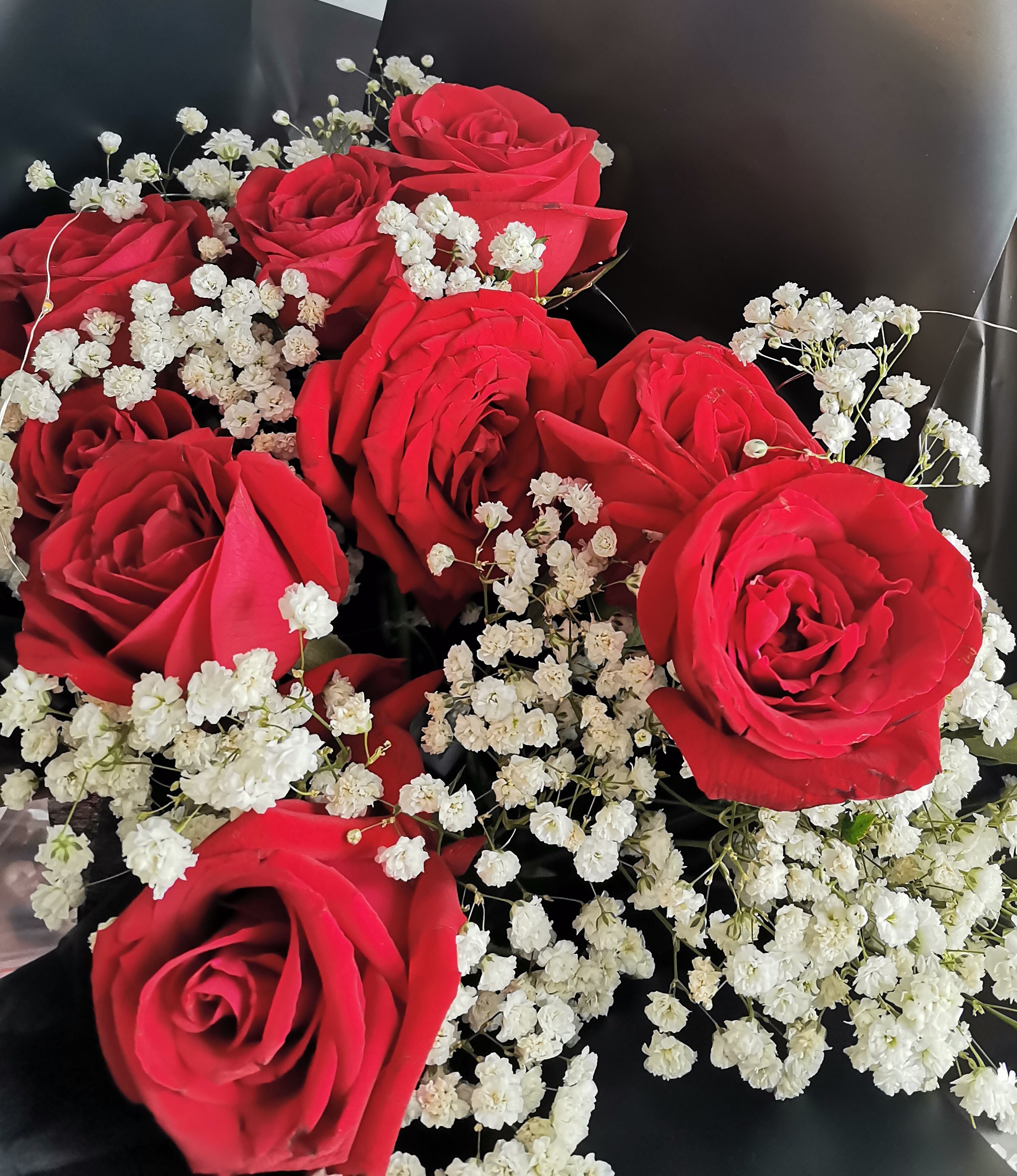 繁花似锦,春日的气息扑面而来!