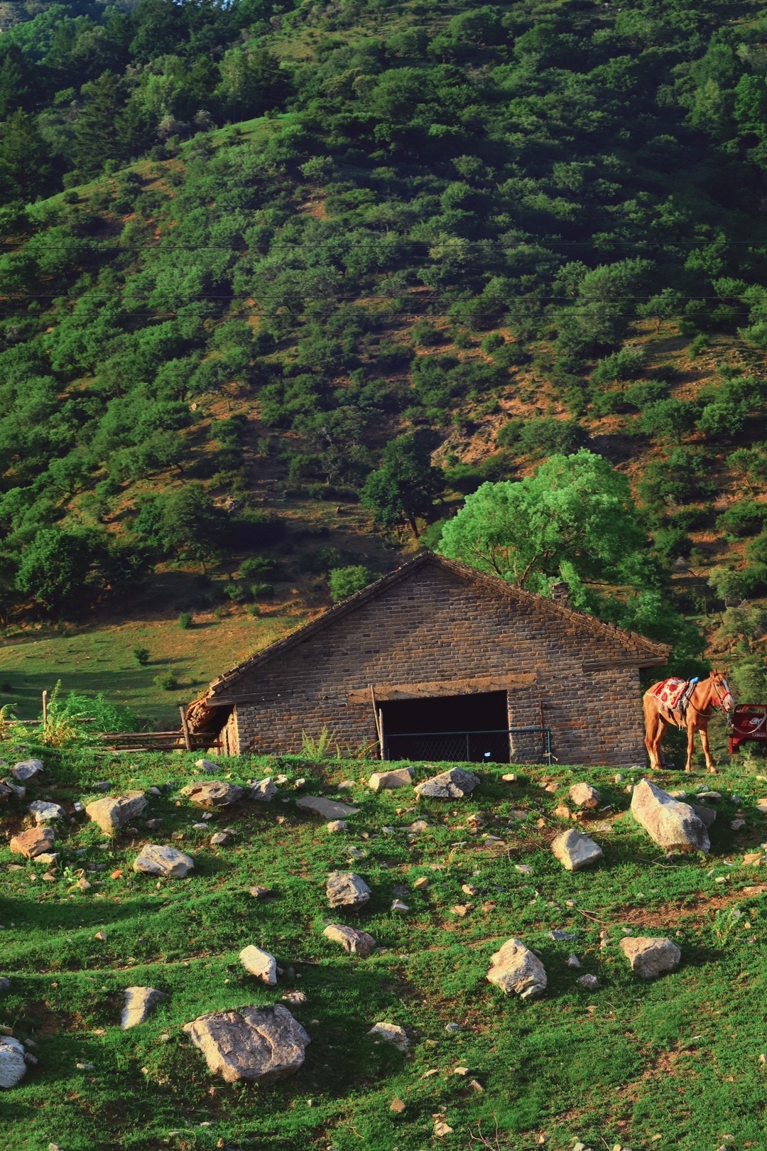 云顶山风景区山西图片