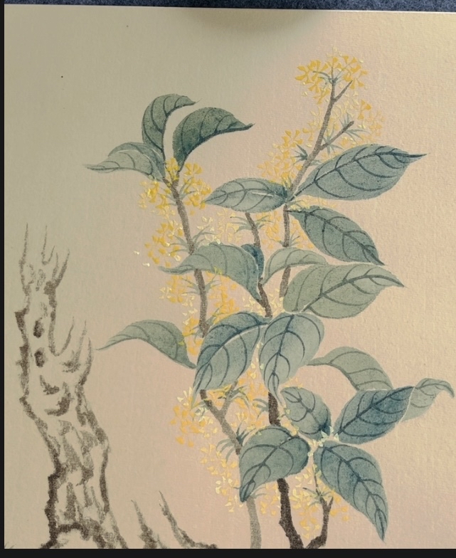 国画课堂:恽寿平没骨《桂花》花朵这样画才漂亮