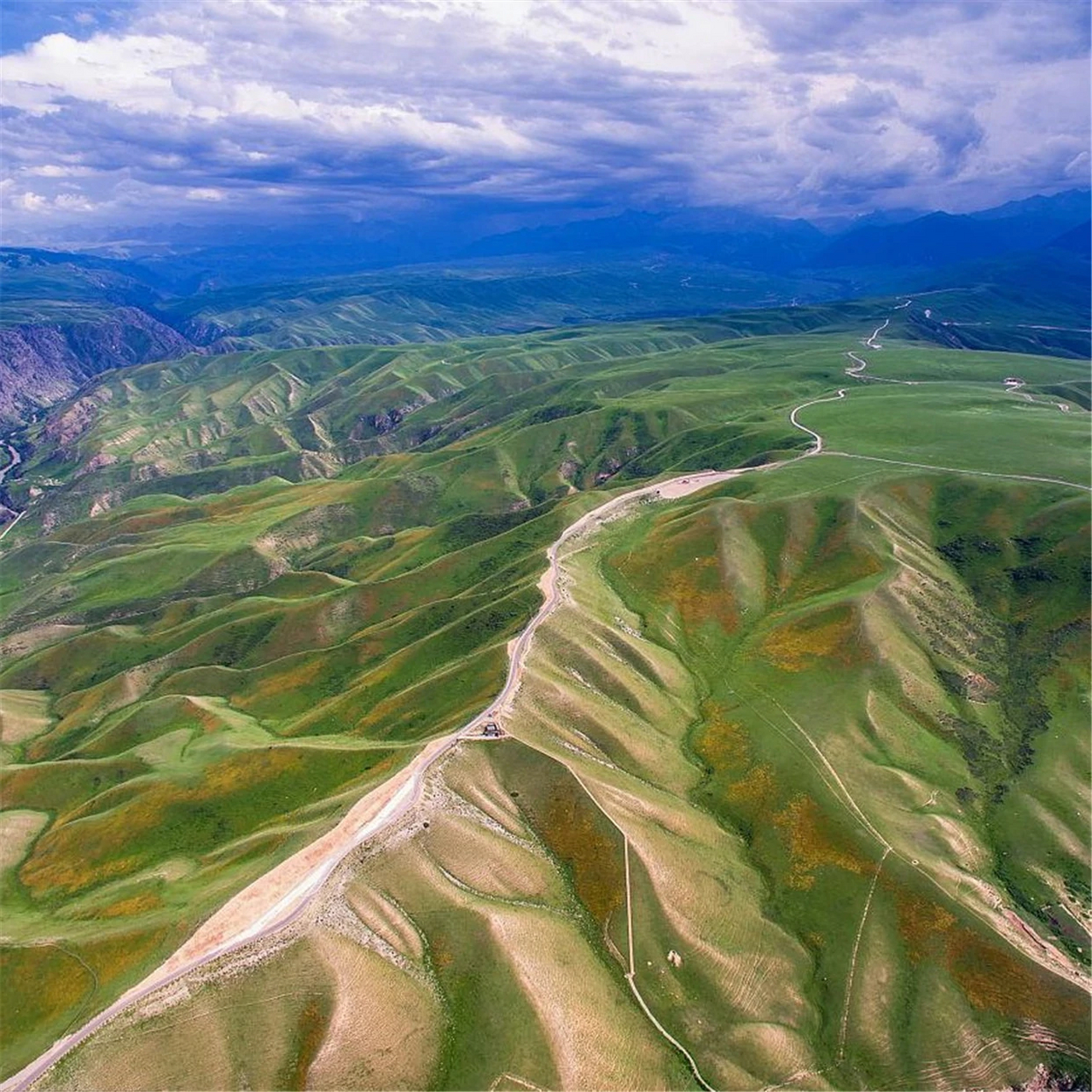 人生旅行清单# 242 喀拉峻风景区:位于新疆维吾尔自治区伊犁哈萨克