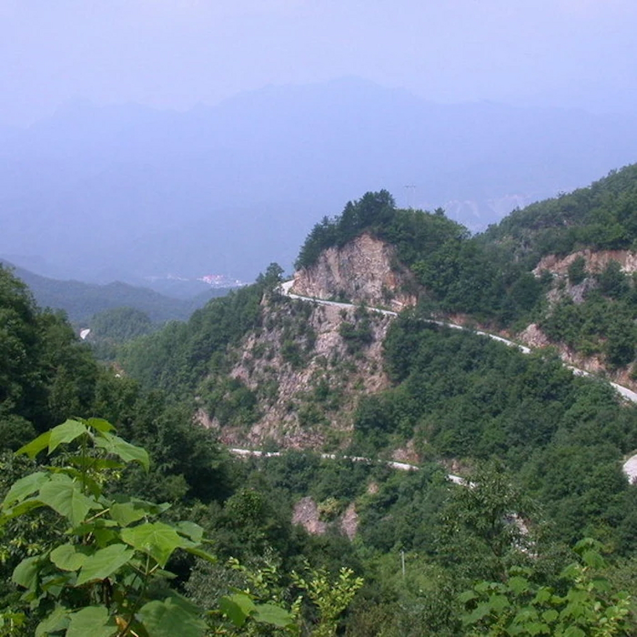 人生旅行清单 204 老界岭景区:位于河南省南阳市西峡县北部,伏牛浇