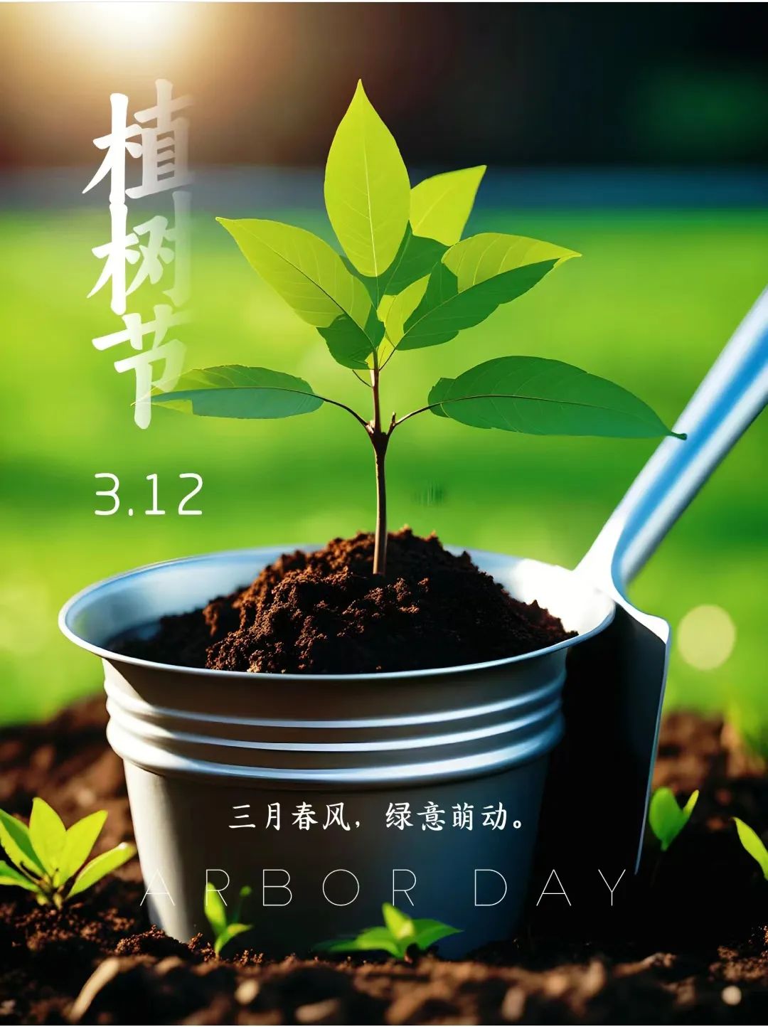 植树节是一个全球性的节日,旨在鼓励人们种植和爱护树木.