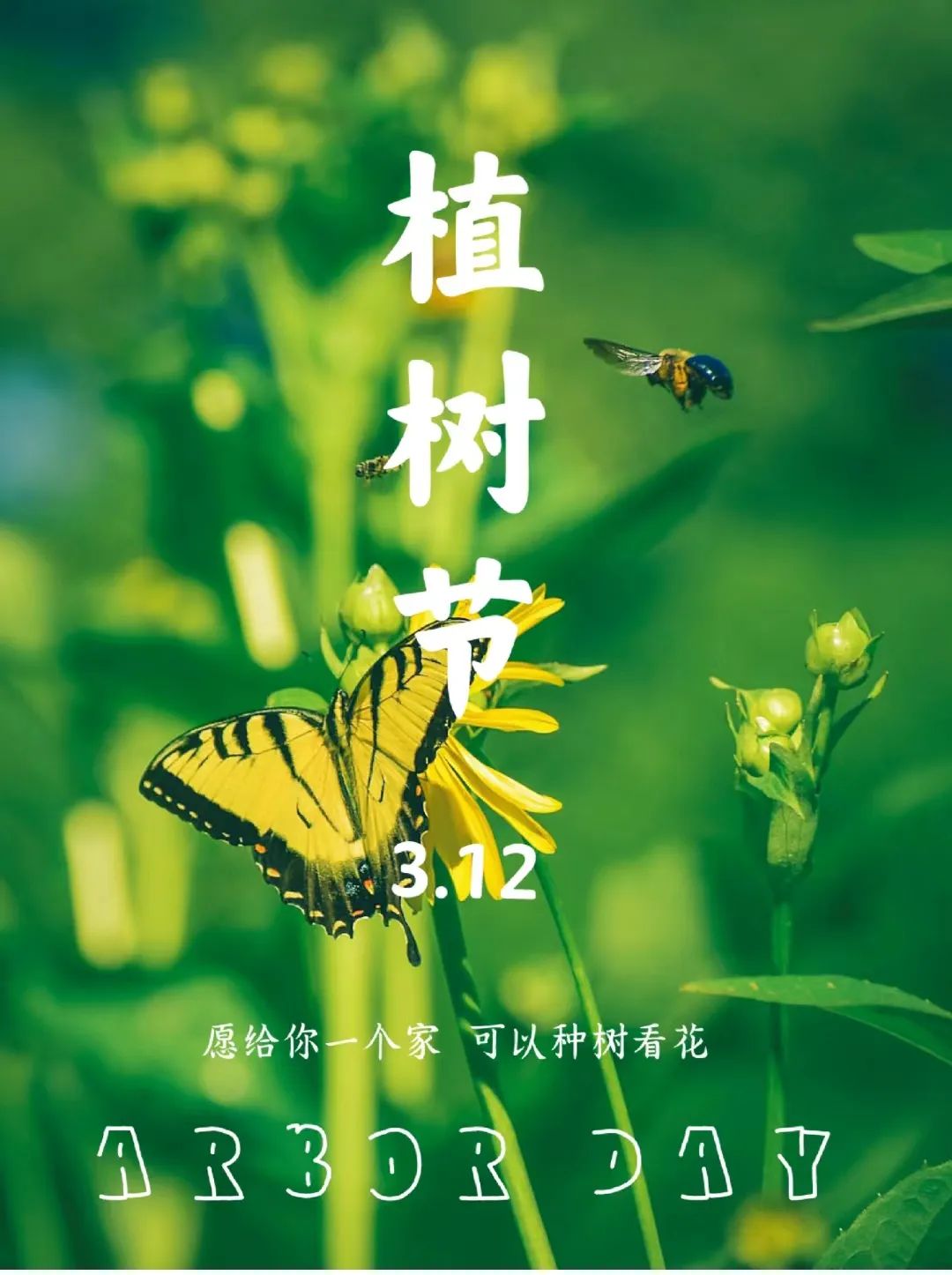 植树节是一个全球性的节日,旨在鼓励人们种植和爱护树木.