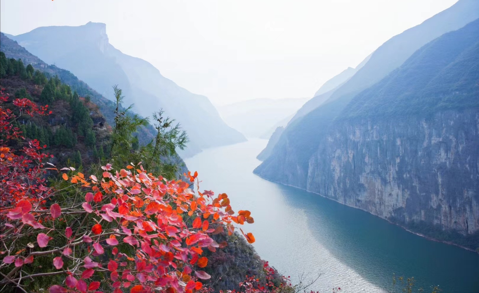 红叶,江 "山水画,是自然之美的另一种呈现.