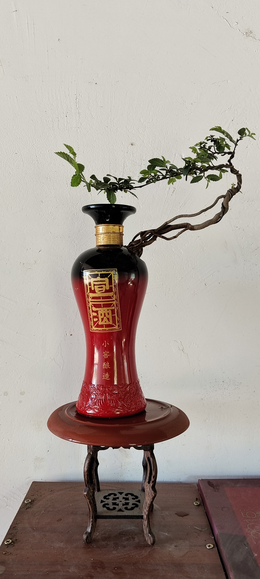 酒瓶加工花瓶,废物利用,感觉是不是还可以?#养花种菜小分队