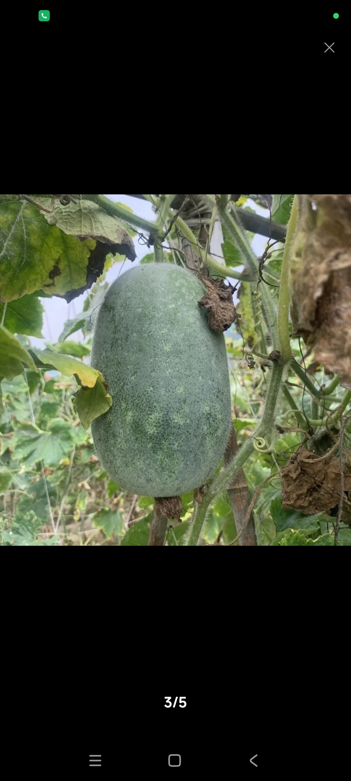 一张照片记录今天#每一个冬瓜都是独一无二的,就像每一位奥运选手都