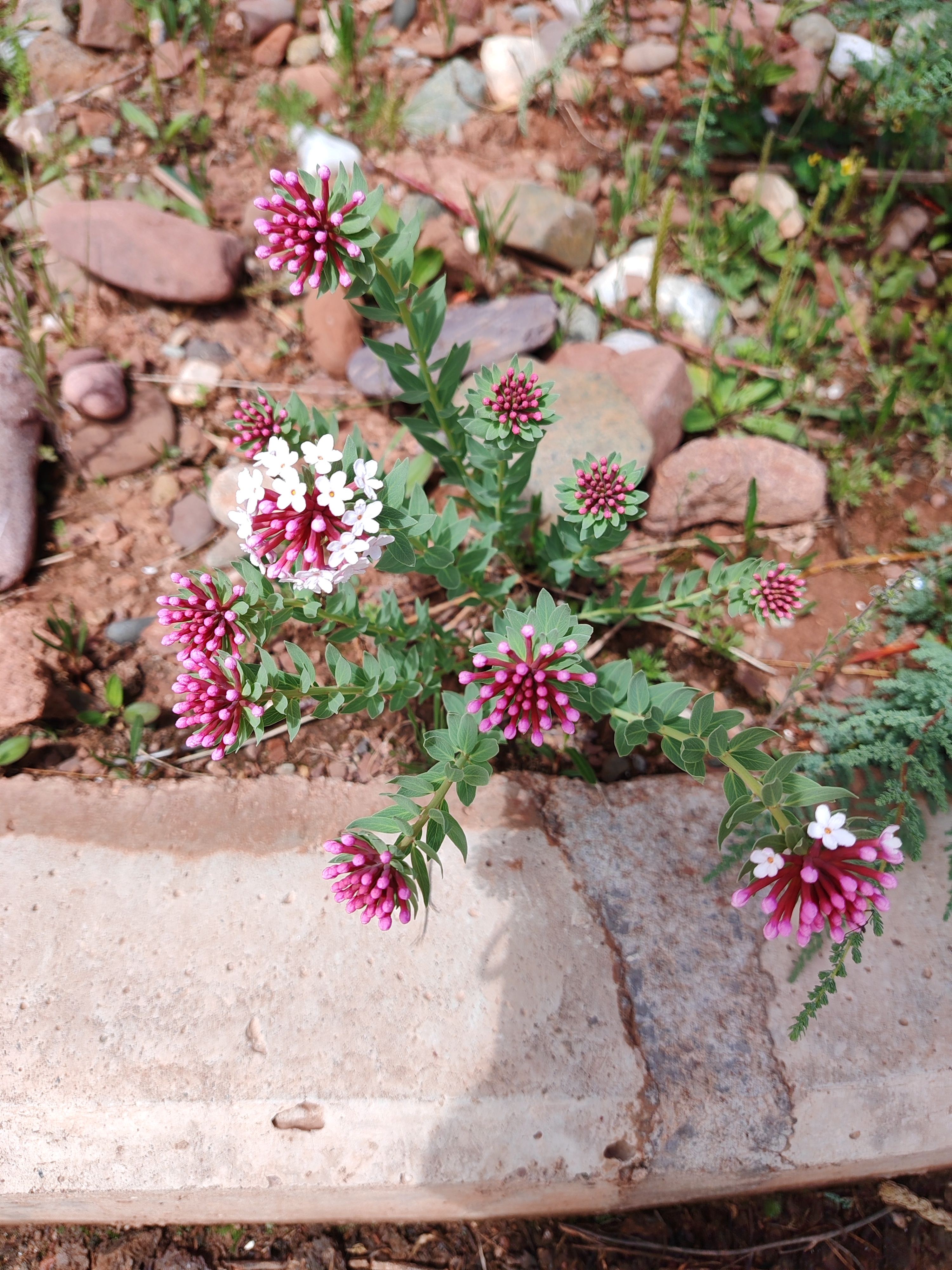 认清工作关系,我们不是窝囊废,而是有偿的劳务关系