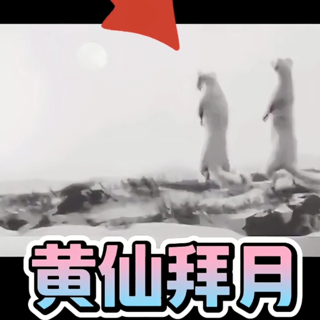 黄大仙拜月!有人说这事是真实的