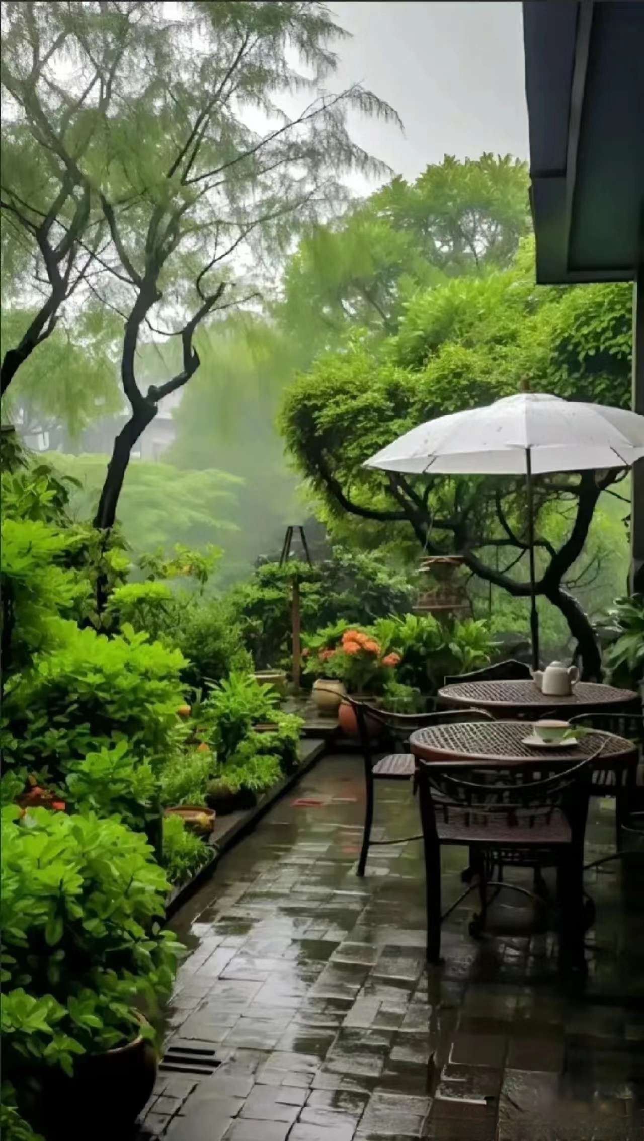 坐在自家的白色遮阳伞下,听着雨声嘀嗒,仿佛时间都慢了下来.