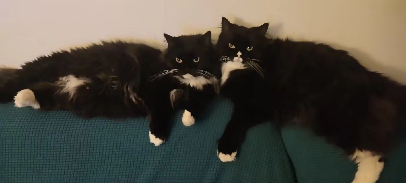 之一  ——歪打正着——  我叫"倪妮",有时也被称作二毛驴子或小坏蛋