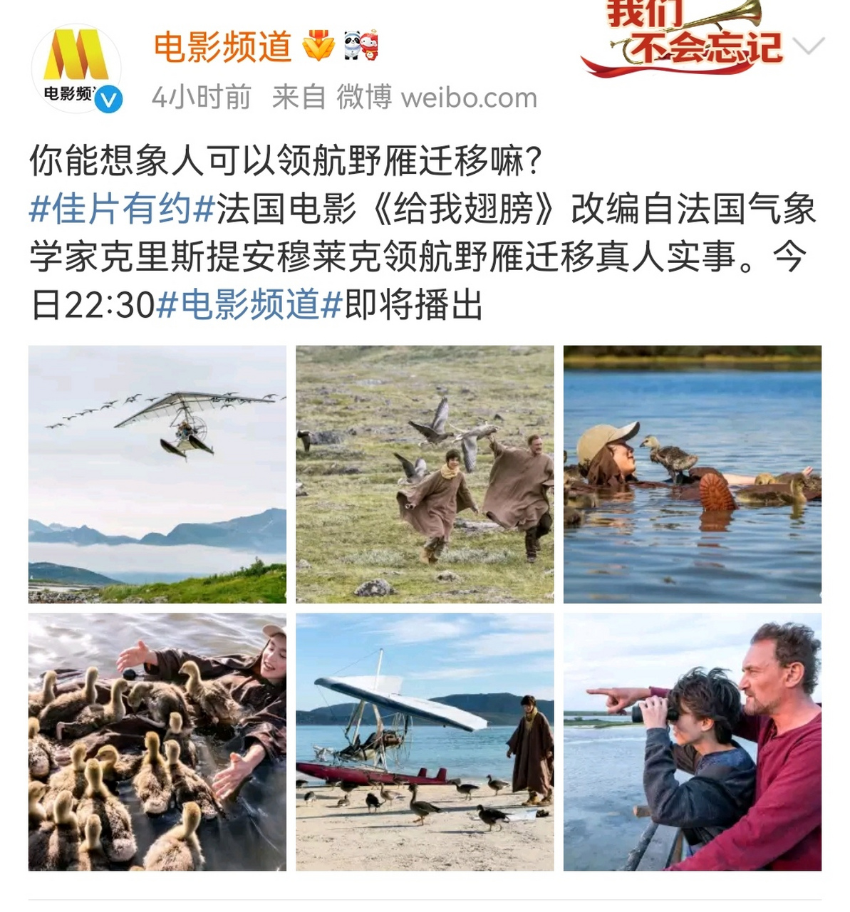 央视六公主又来搞活了,今天上午播出了《金刚王·死亡救赎》,中午播放