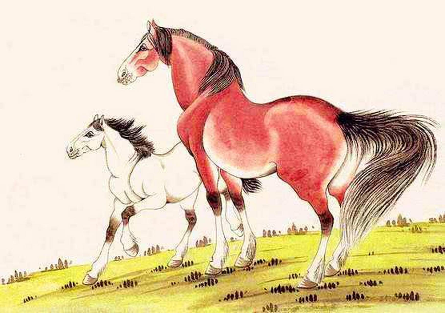 劳碌不停生肖(早起忙碌打一肖)