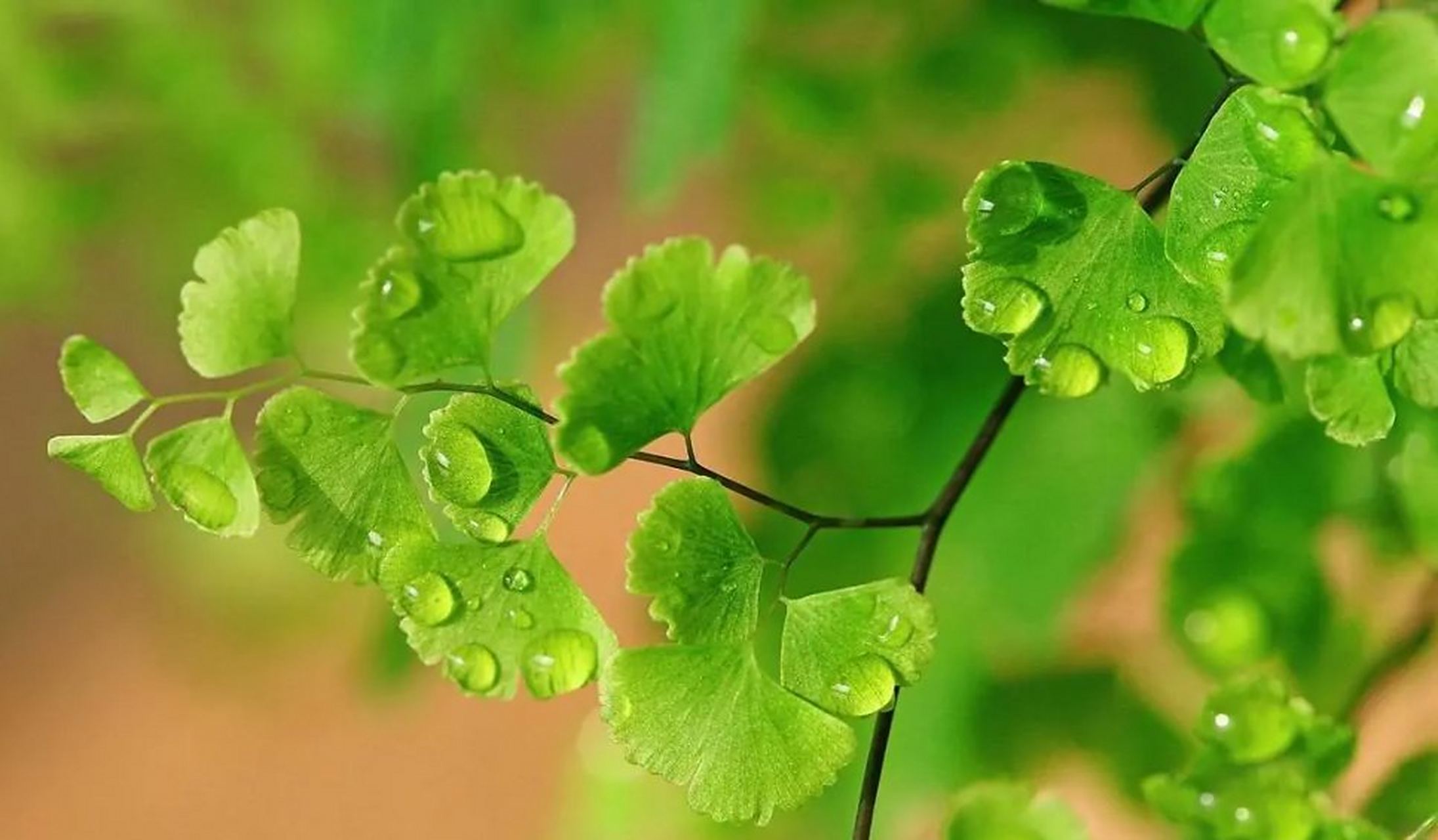 《枕石》  明·高攀龙  心同流水净,身与白云轻.