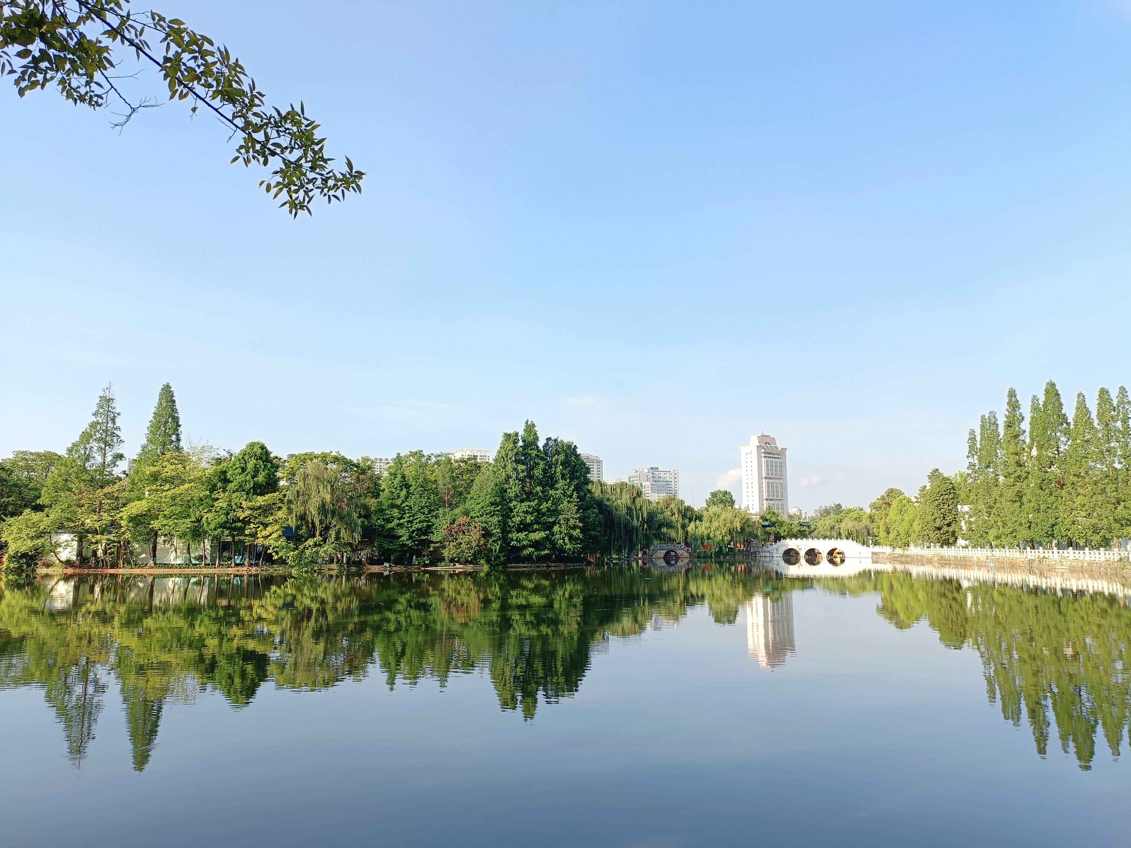 清晨的翠湖,光与影的交错,平常的风景给人平和的心情!