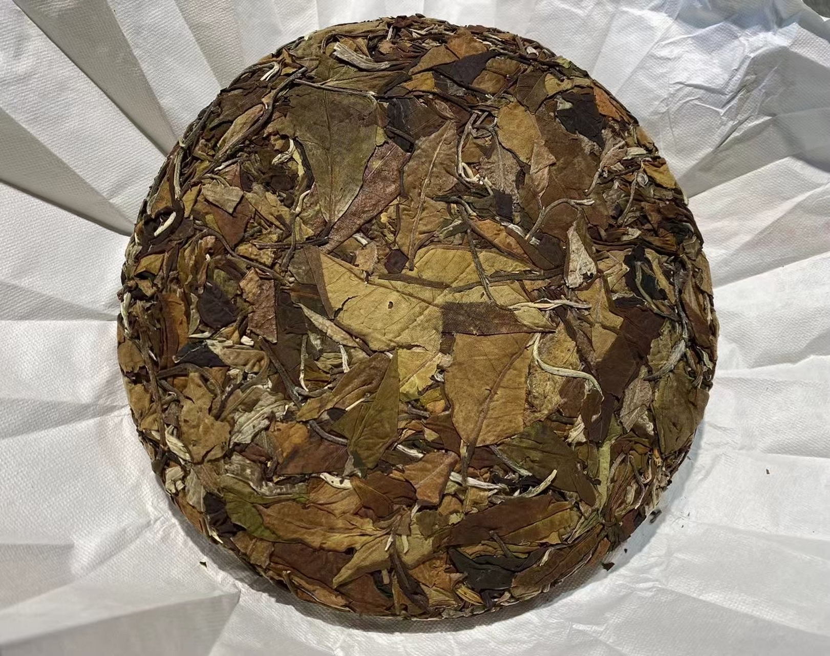 随着2021年底"云南大叶种白茶"标准颁布,云南白茶有了更清晰的标准