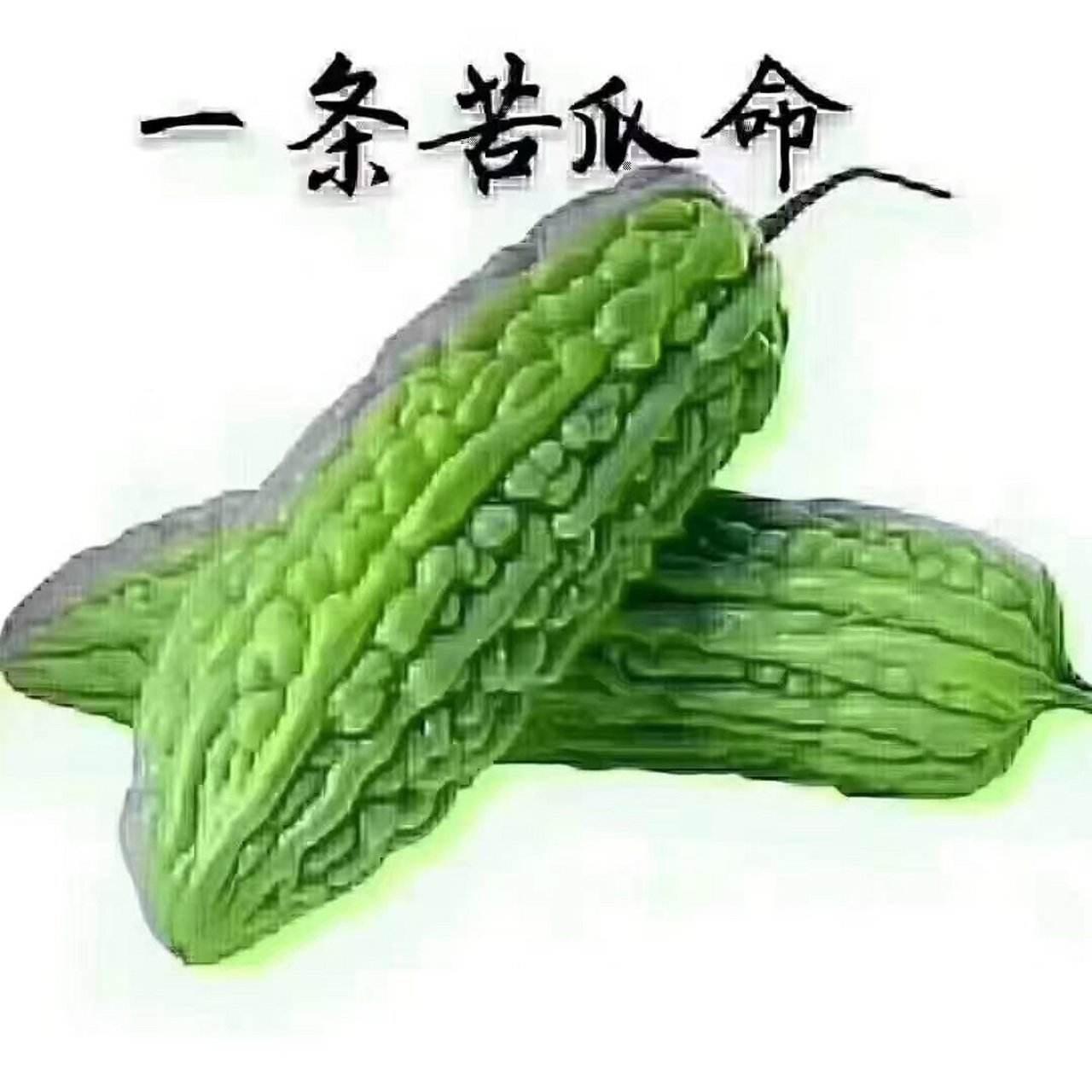 你有一条苦瓜命吗?