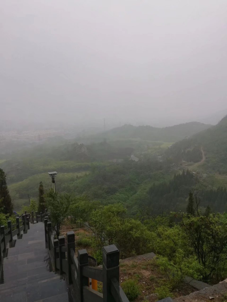 一起来看看雨中的焦作缝山针吧!