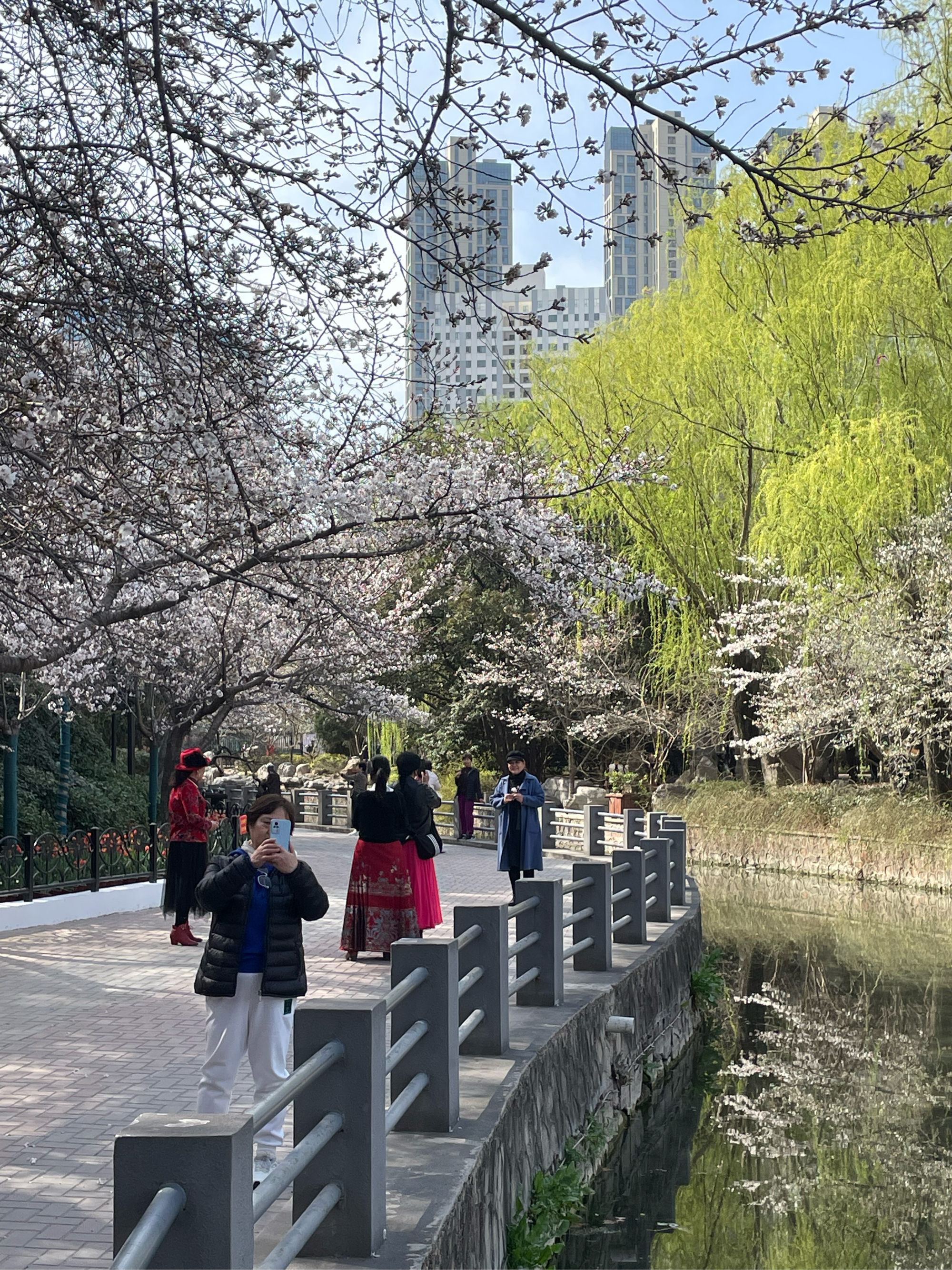 郑州市人民公园樱花图片