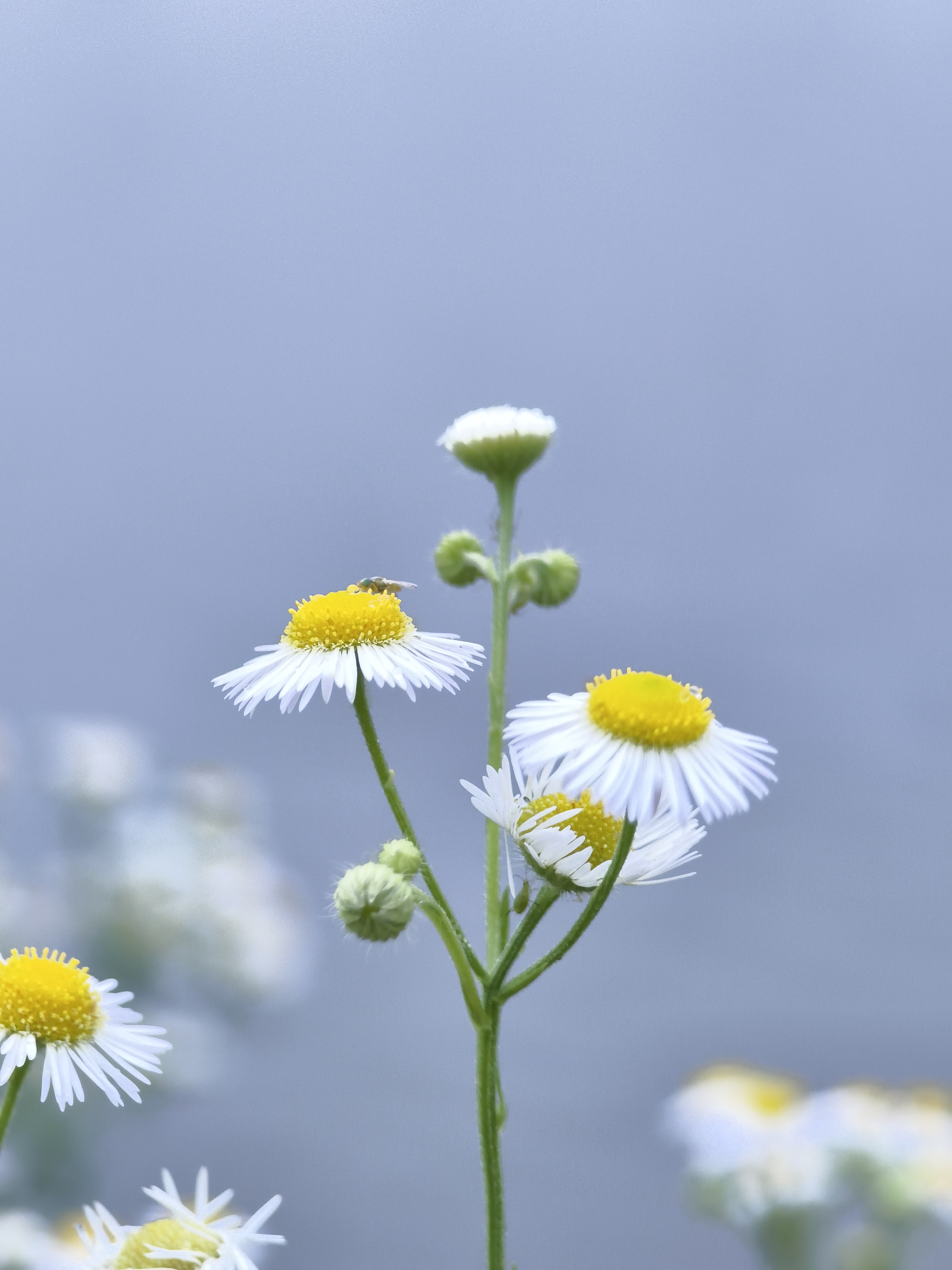 当某人对你特别舍得时,有可能他只是想通过示好,奉献和付出来换取你