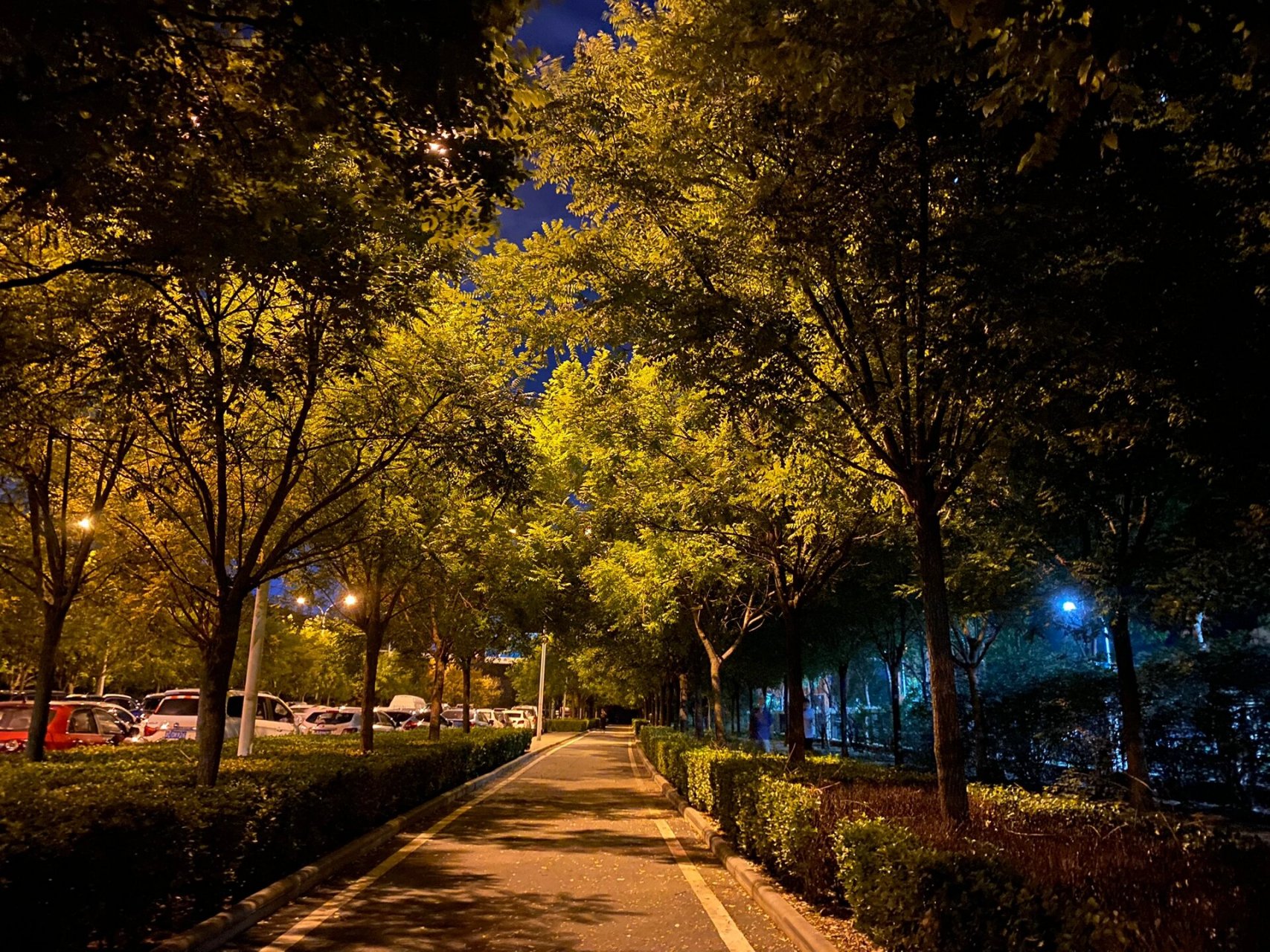 夜间风景照片图片