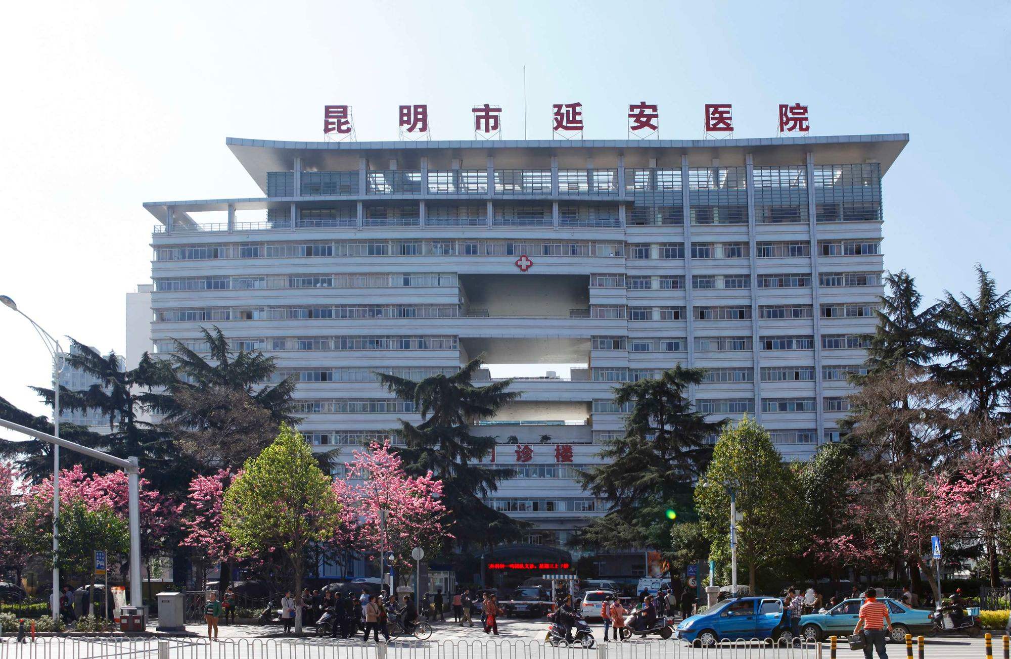 二龙路肛肠医院北京陪诊服务全程陪同票贩子挂号推荐，用过的都说好的简单介绍