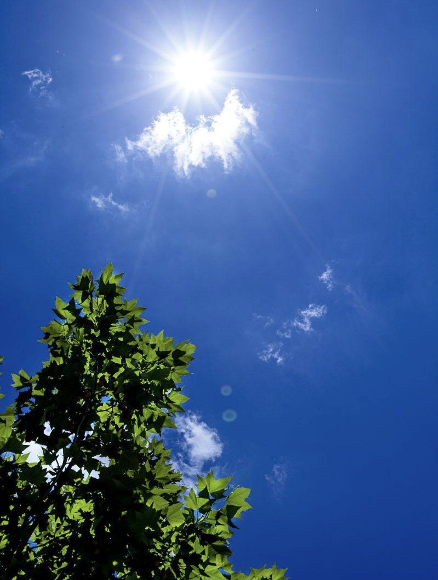 太阳雨  清晨涨着粉嫩的脸 慵懒地抱着我 空气中传递的 并非是温柔的