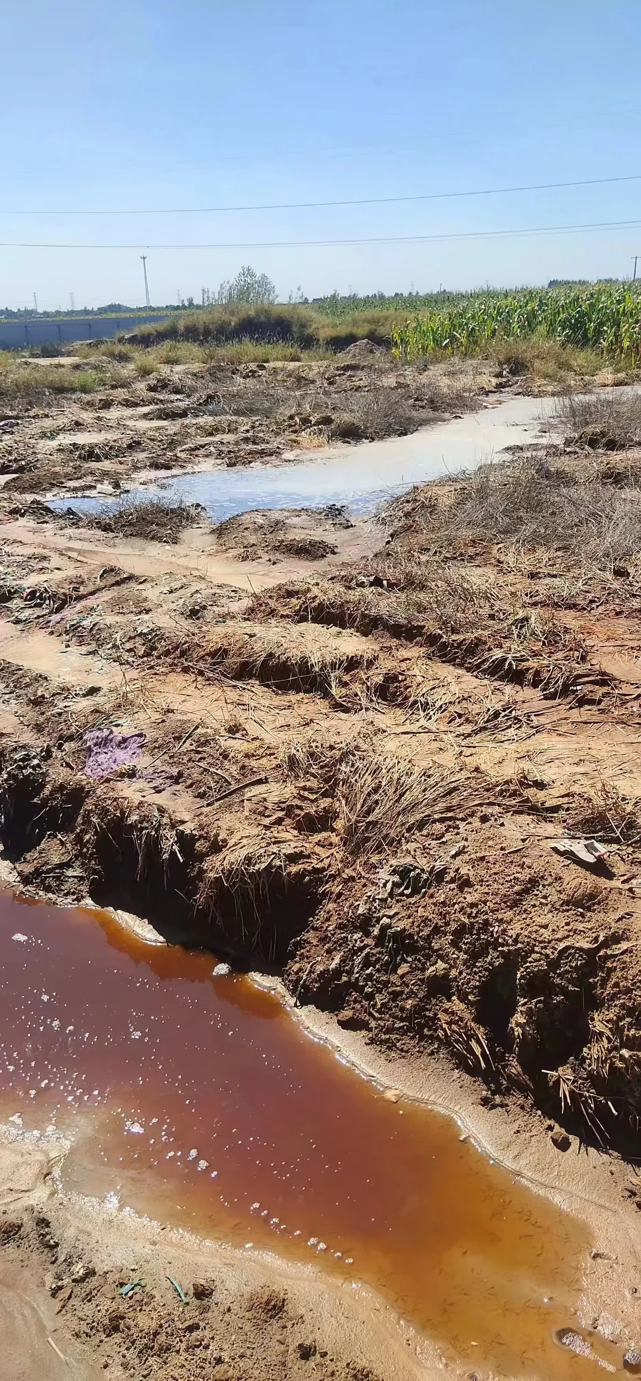 县核桃园镇付庙村南,非法倾倒在耕地里,对周边的土地和地下水源造成