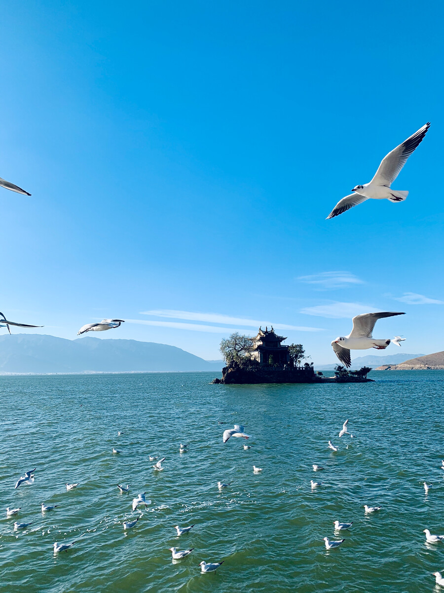 大理最适合大学生的旅游攻略 行动路线 从大理古城出发沿洱海顺时针