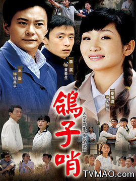 电视剧:鸽子哨