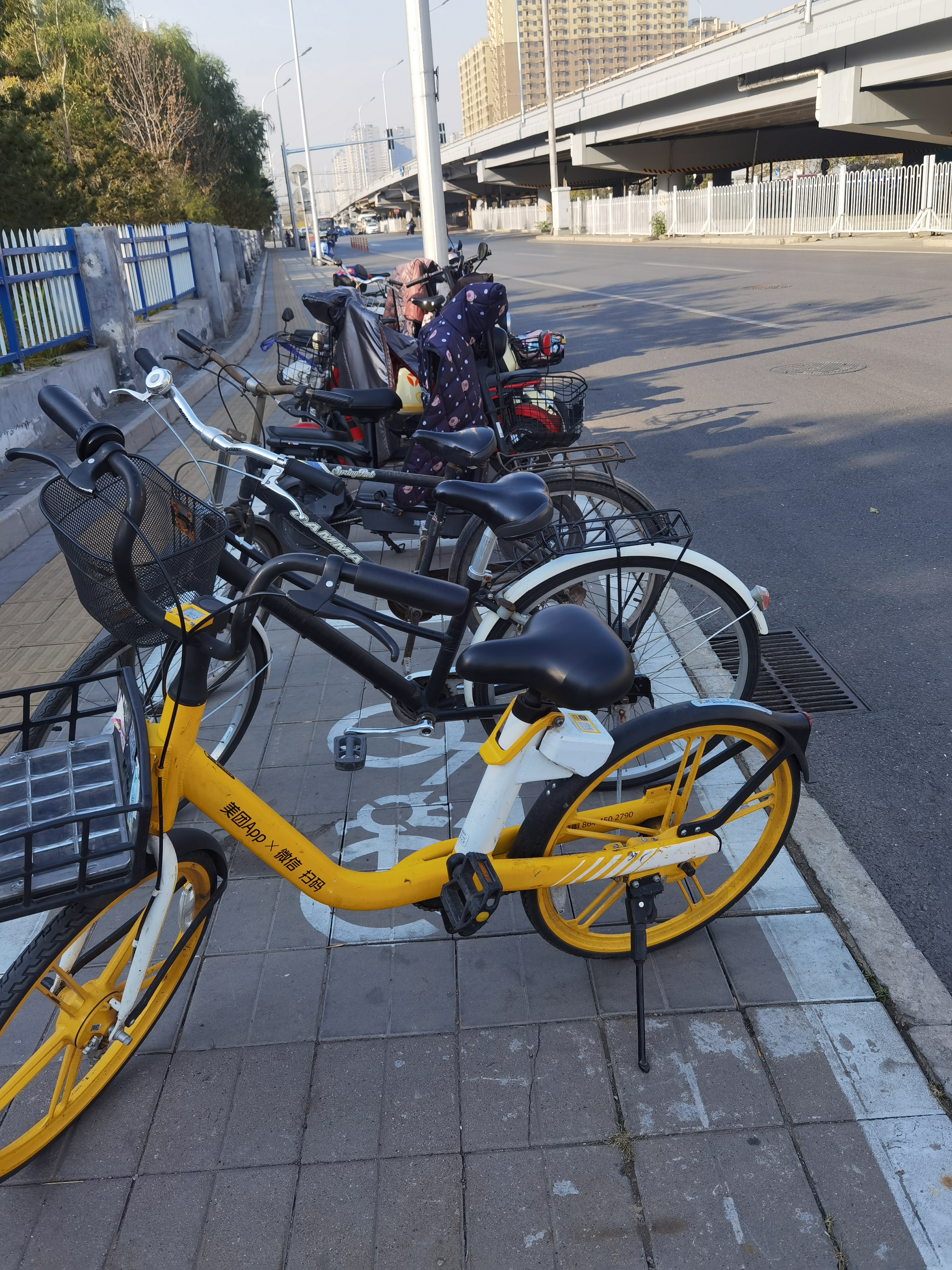 黄色的自行车,它们不仅仅是交通工具,更是城市的新风景线.