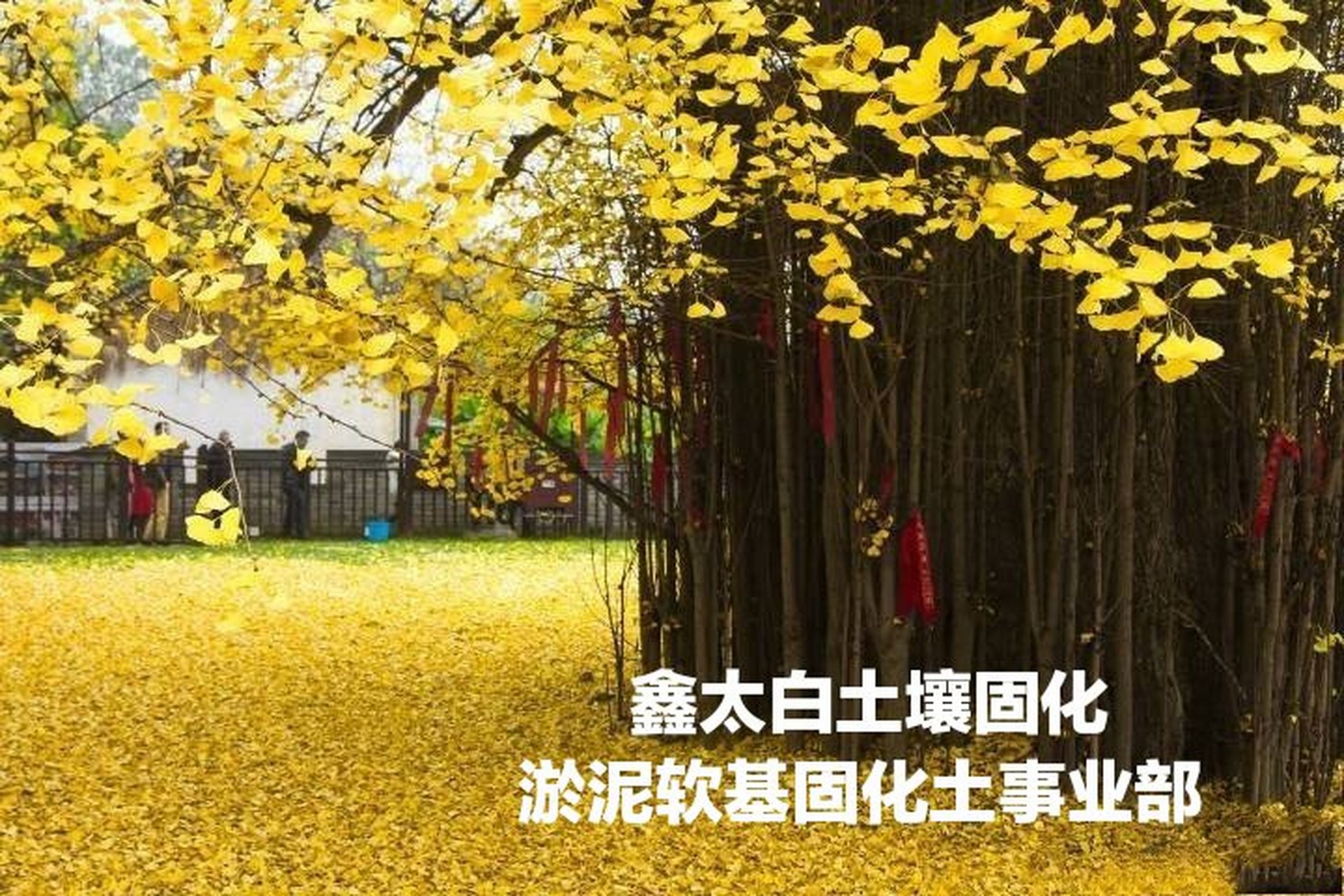 泥土免烧砖固化剂安徽合肥淤泥改性固化剂合肥土壤固化剂安徽合肥淤泥