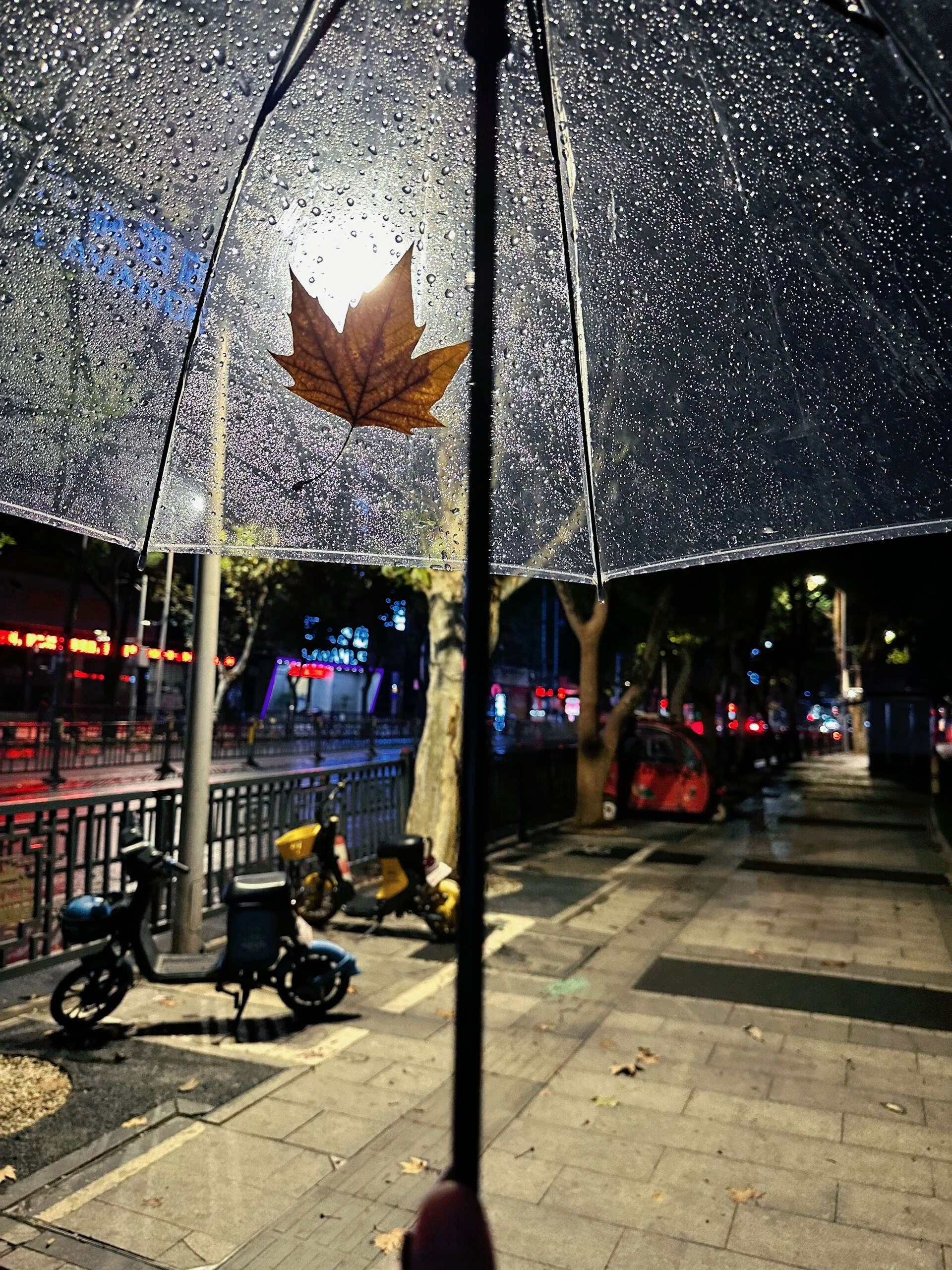 雨夜,伞下,落叶,静谧的城市呼吸.#情感