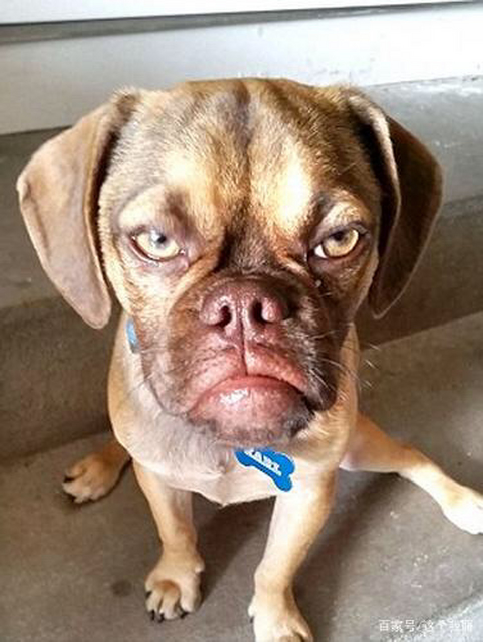 大学生一枚,去年十一放假,我提前溜了,没跟辅导员请