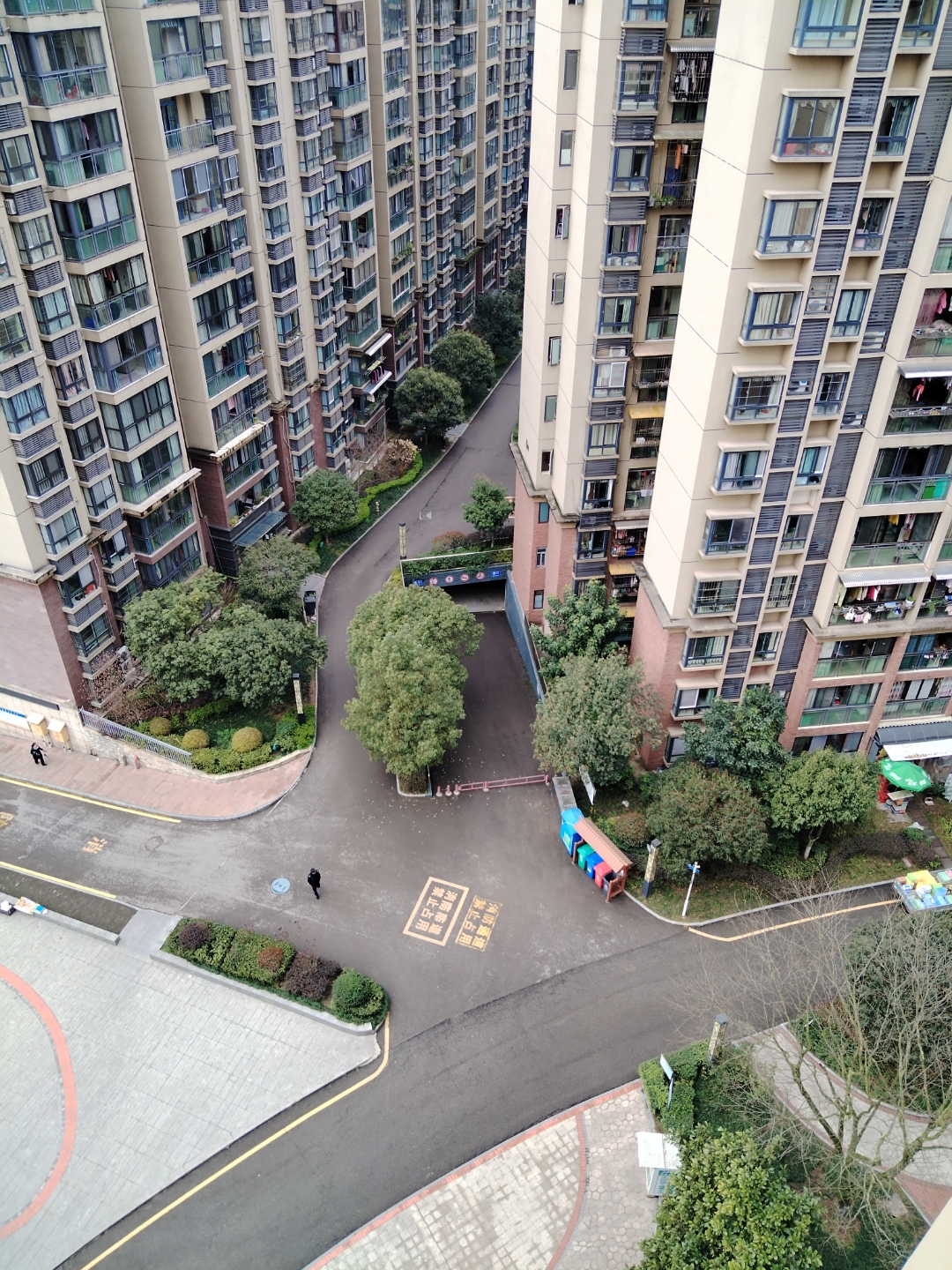 今天我要清理小区西边的区域