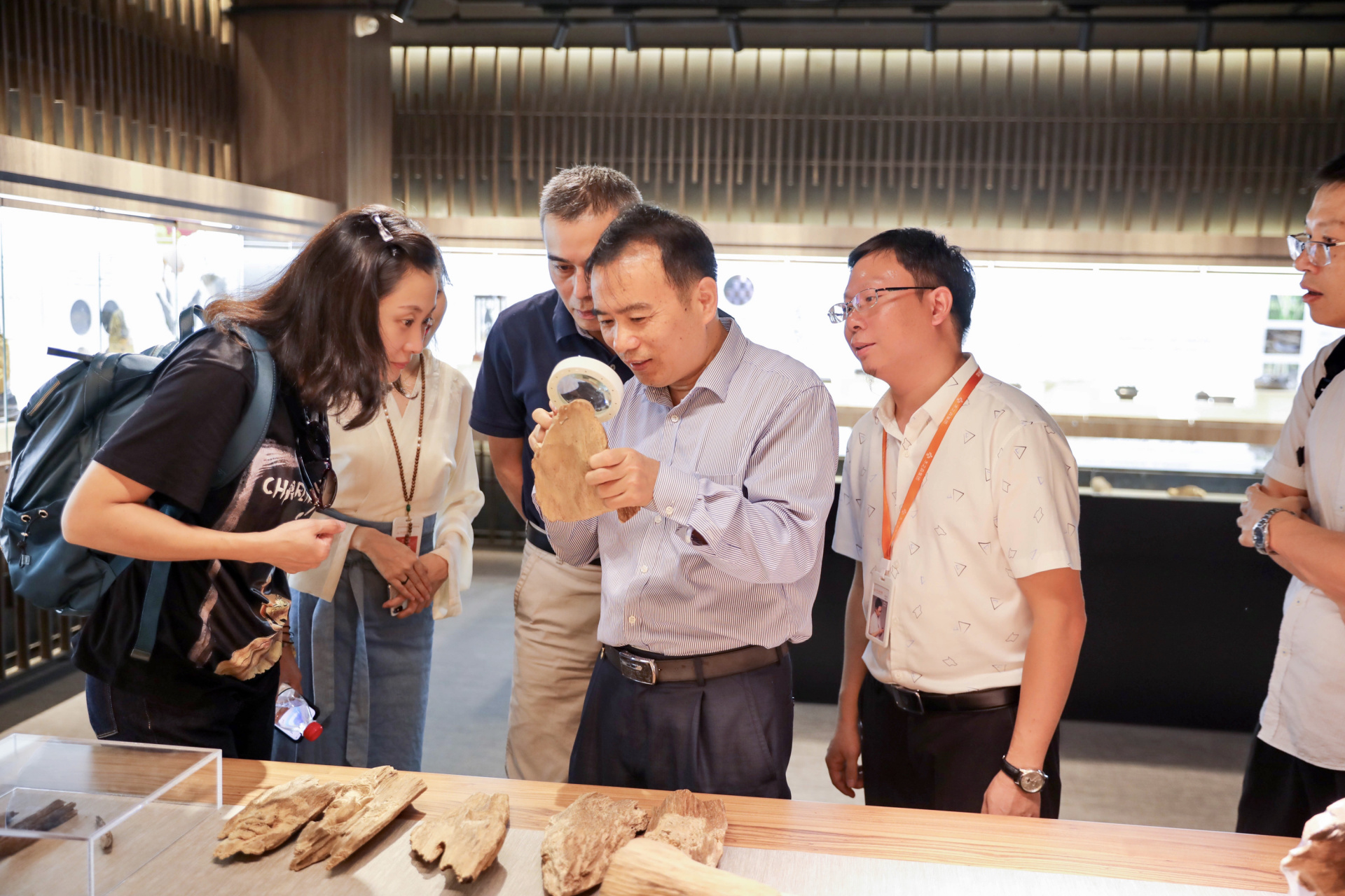 福建农林大学材料与工程学院副院长林金国教授(国家沉香标准审核专家)