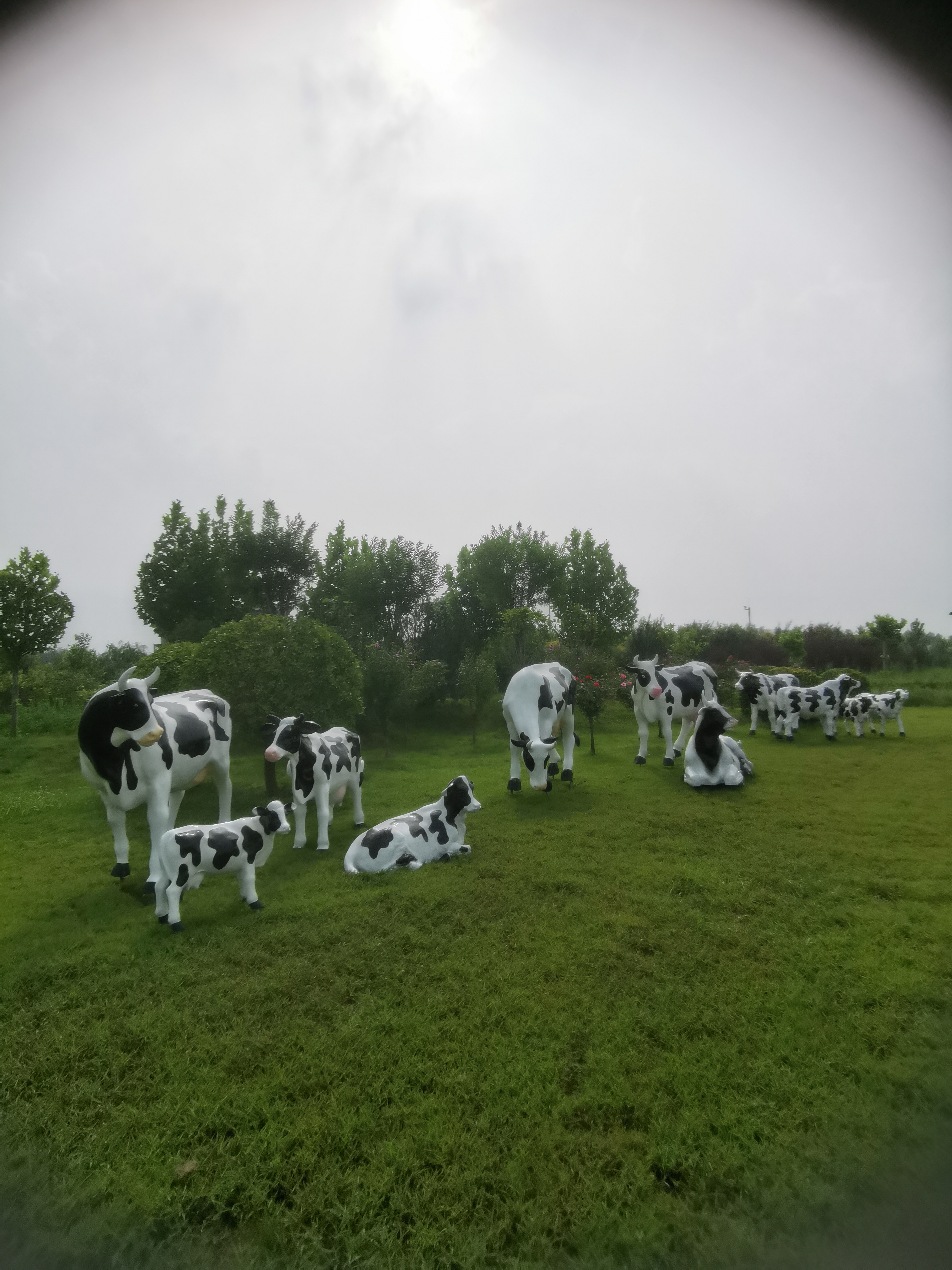 【草原的呼唤】  当阳光洒落在这片如诗如画的草地上,玻璃钢奶牛雕塑